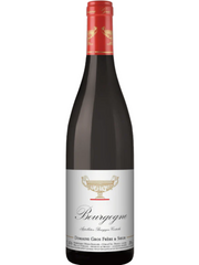 Gros Frère Bourgogne Rouge 2022 (750ml)
