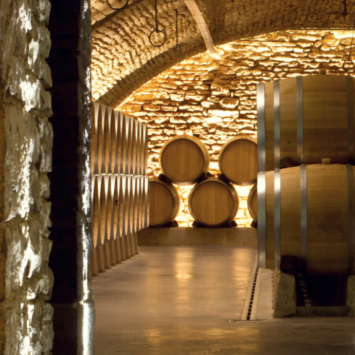 Domaine Gros Frère et Sœur 2023 | From Bourgogne to Richebourg (Wellington 26 August)