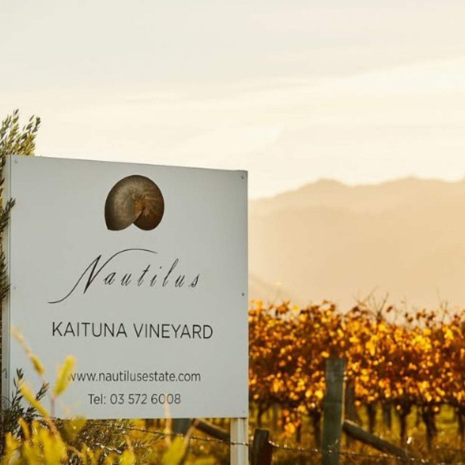 Normanby Fine Wines