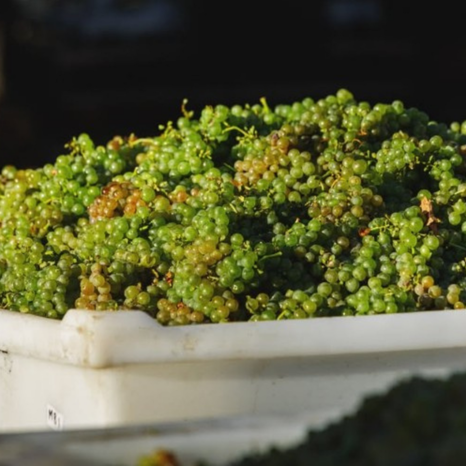 Normanby Fine Wines