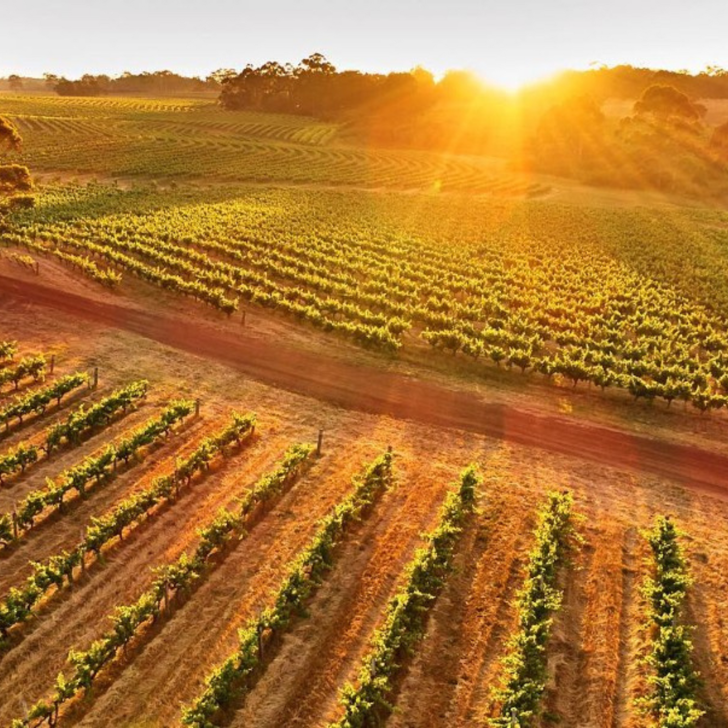 Normanby Fine Wines