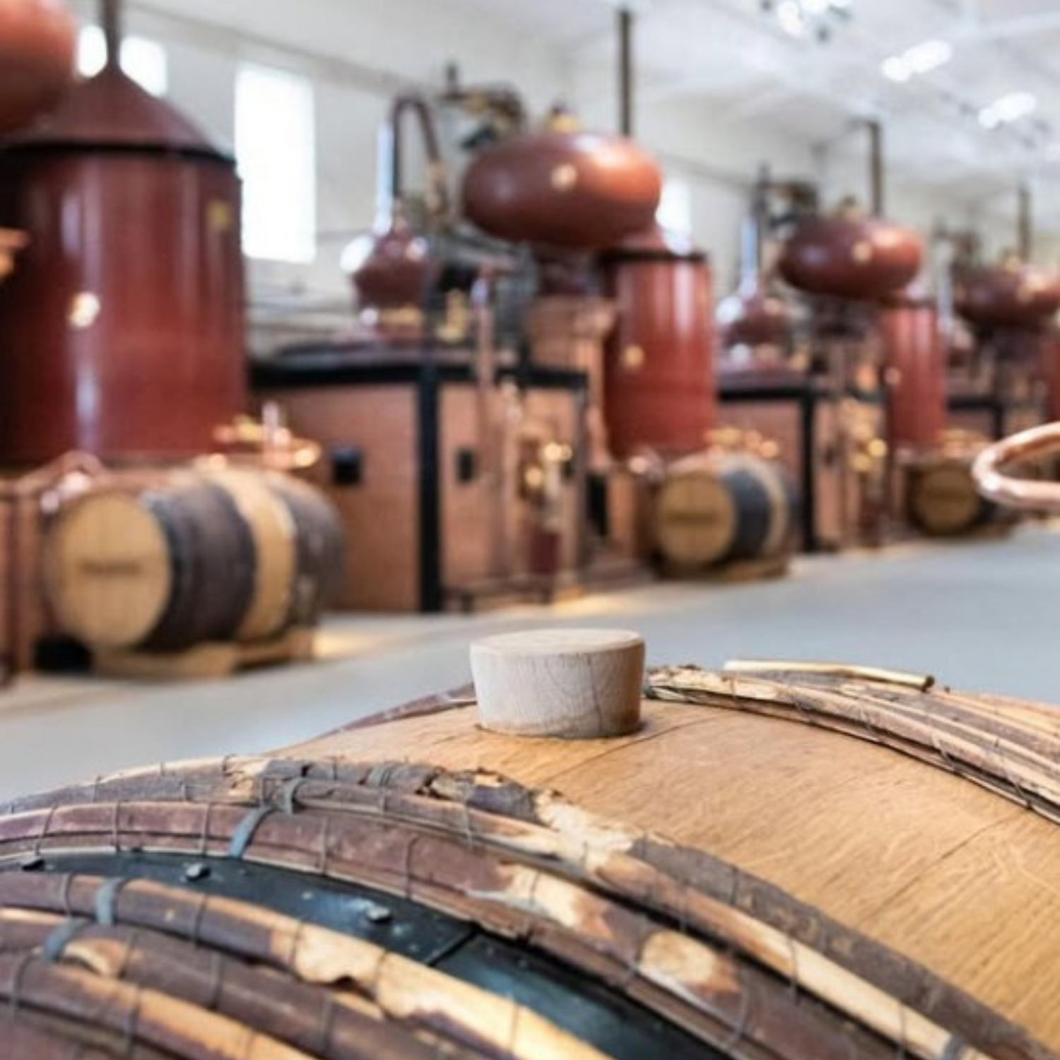 Normanby Fine Wines