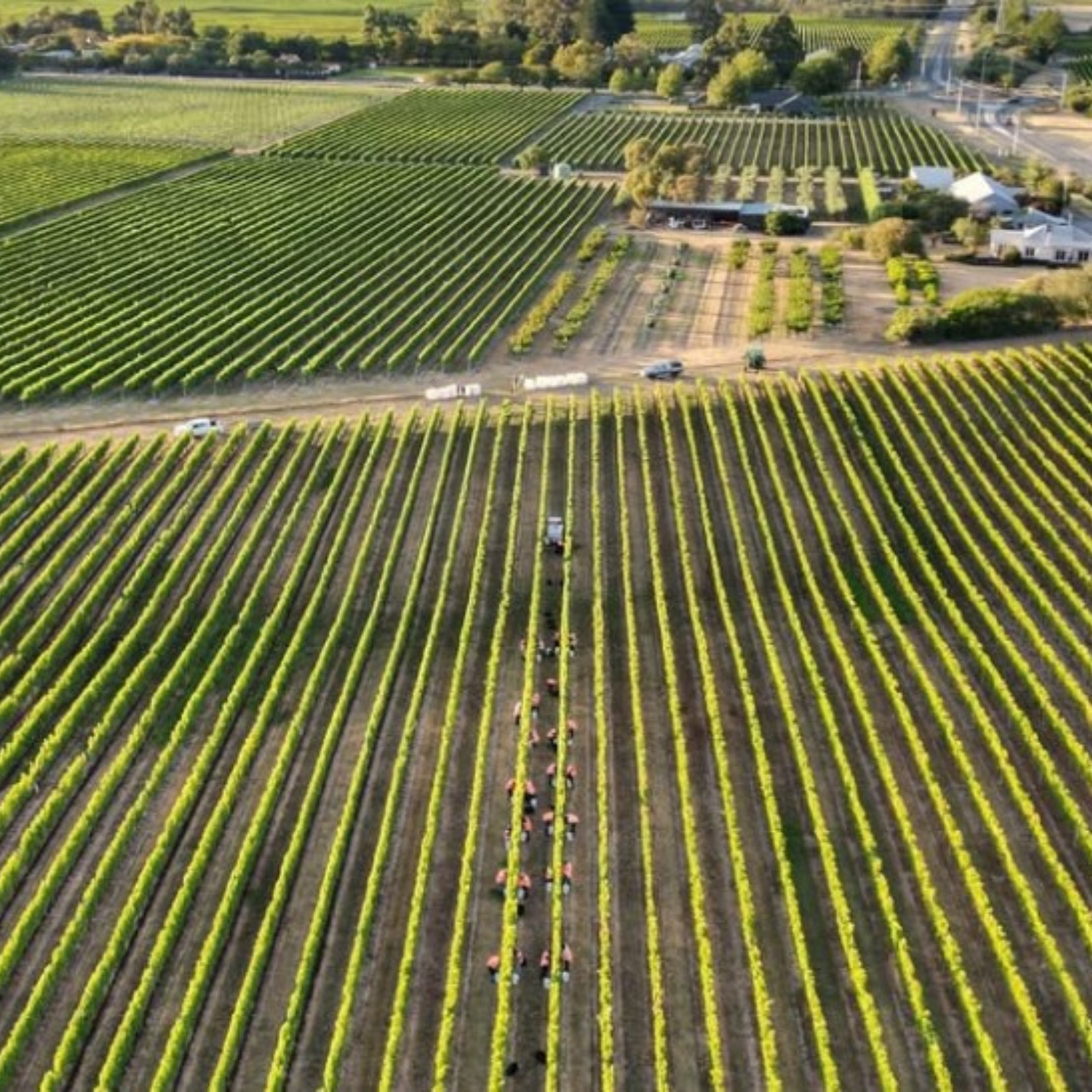 Normanby Fine Wines