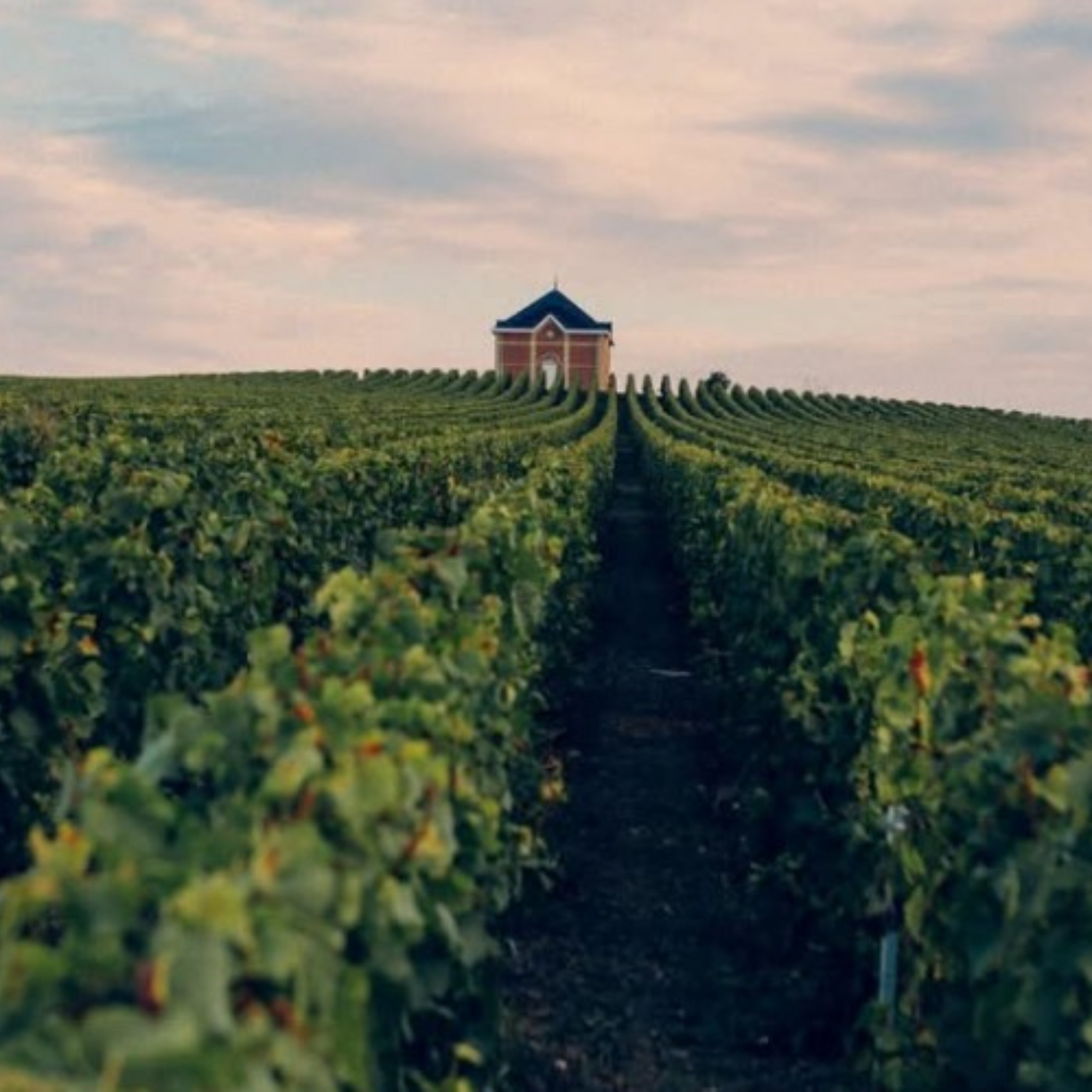 Normanby Fine Wines