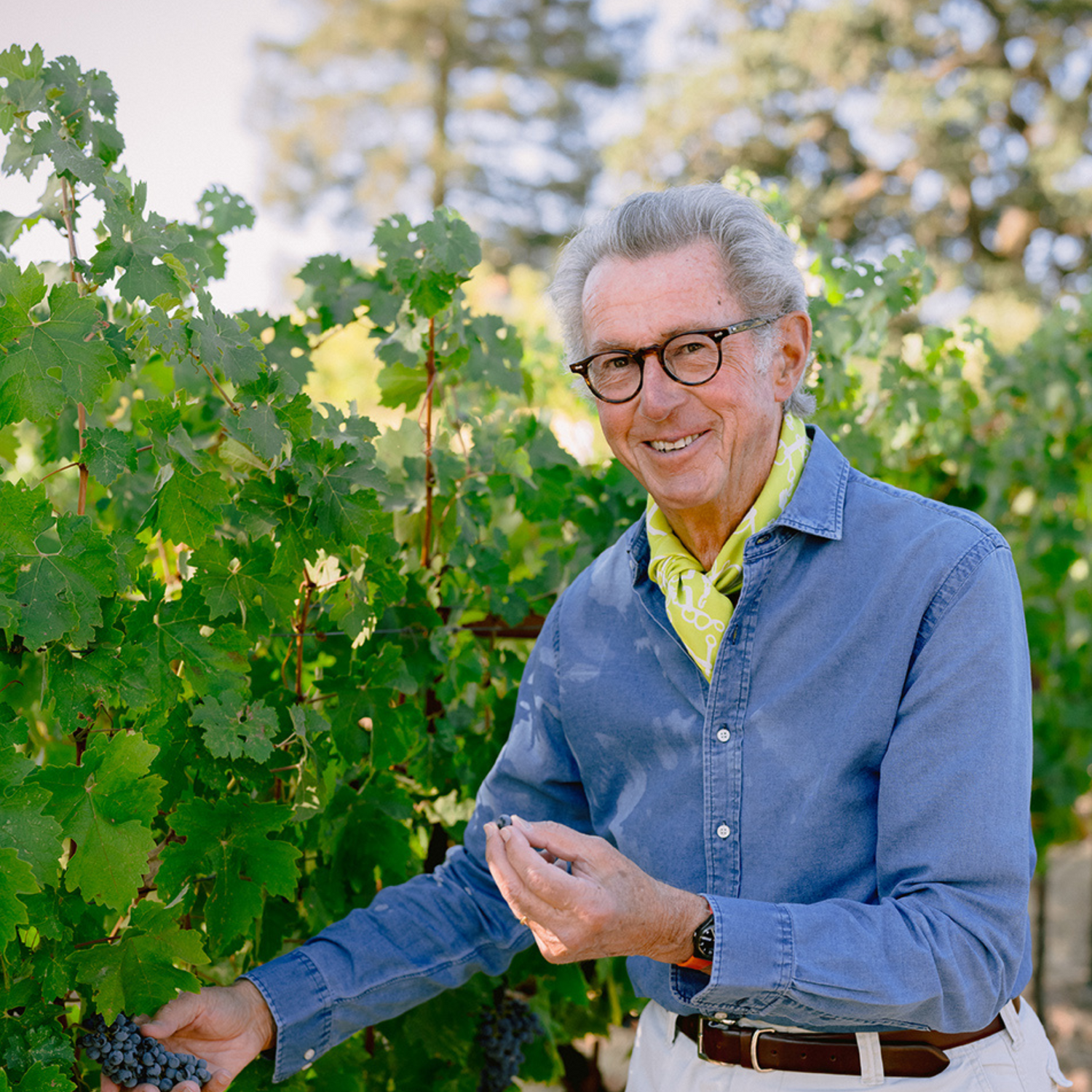 Normanby Fine Wines
