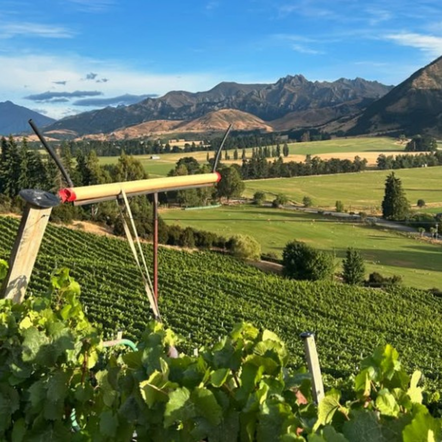 Normanby Fine Wines