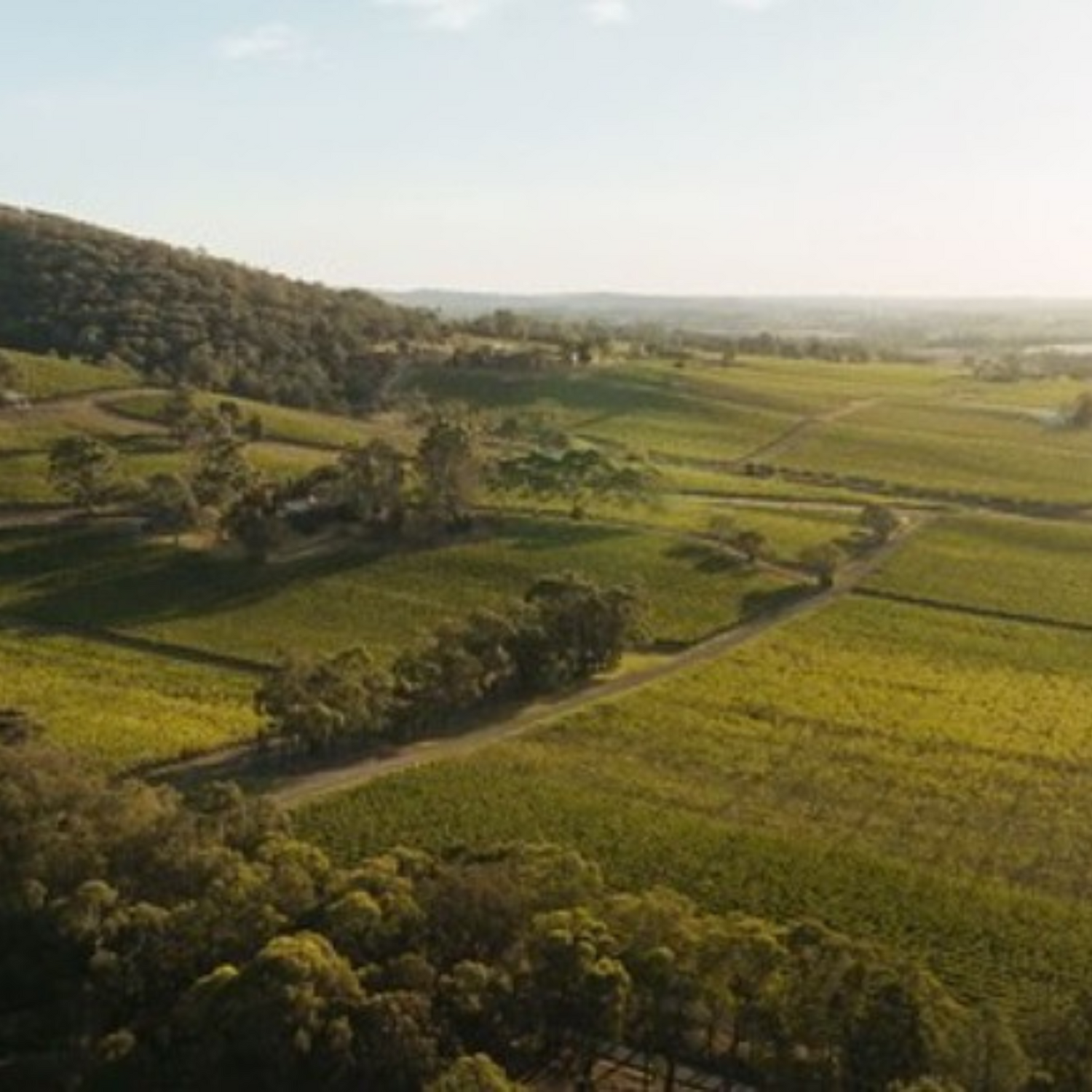 Normanby Fine Wines