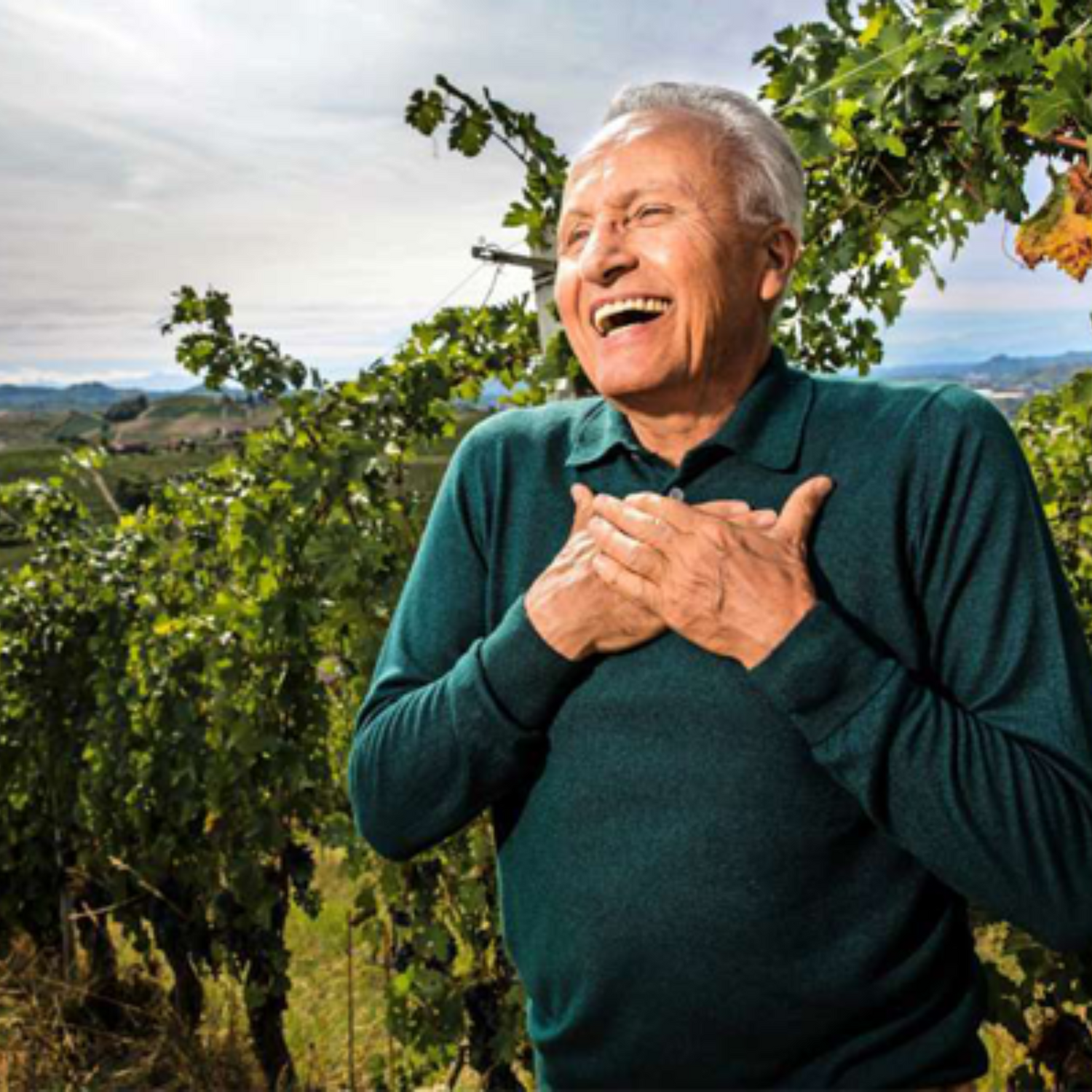 Normanby Fine Wines