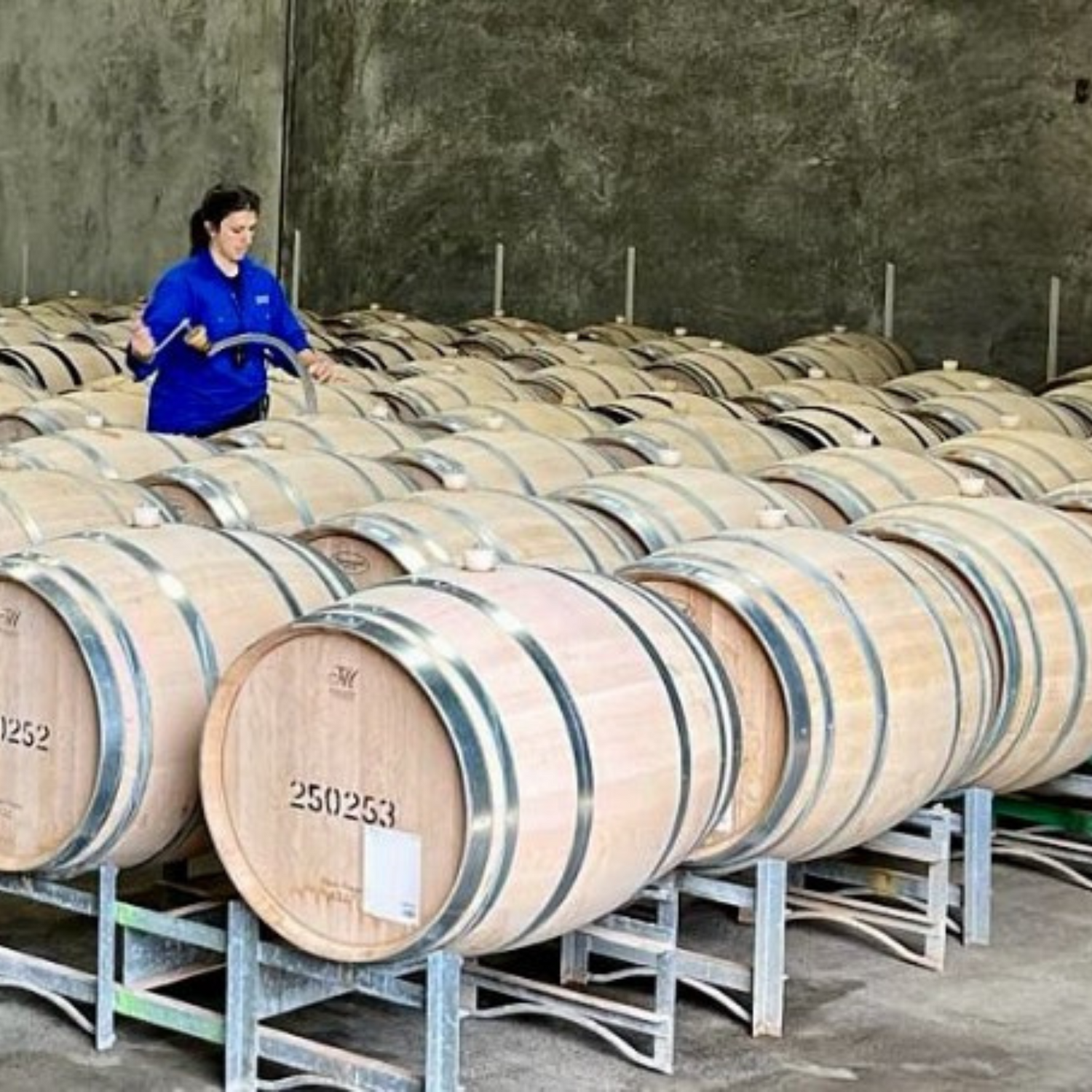 Normanby Fine Wines