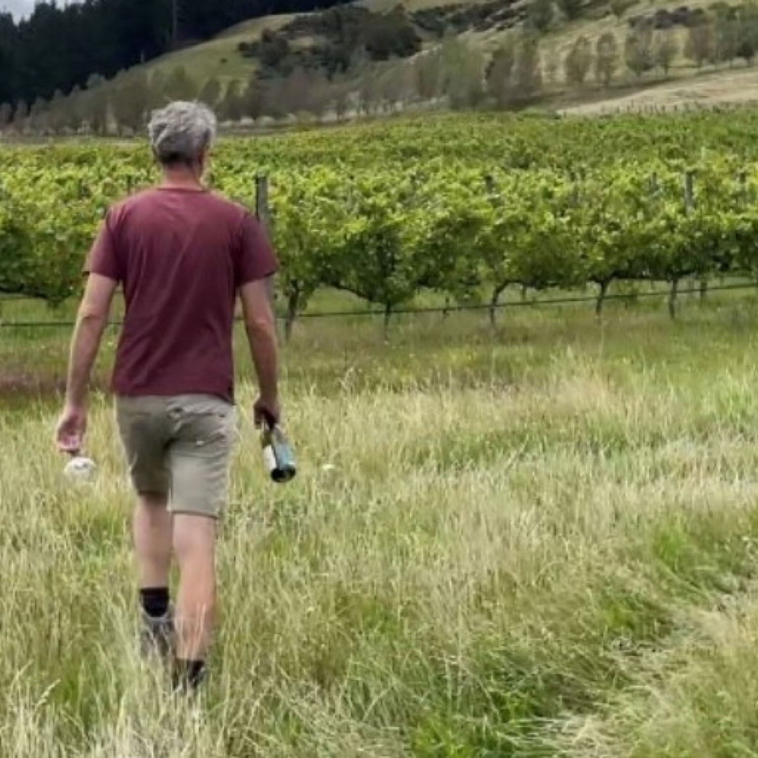 Normanby Fine Wines