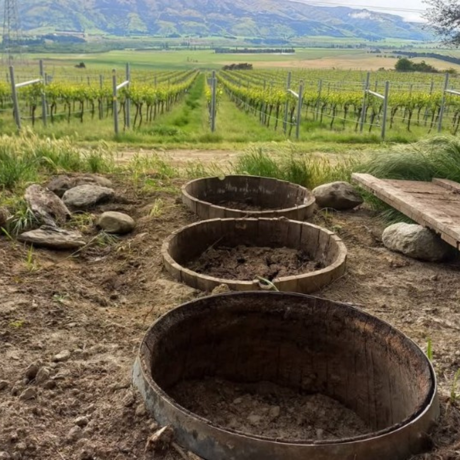 Normanby Fine Wines