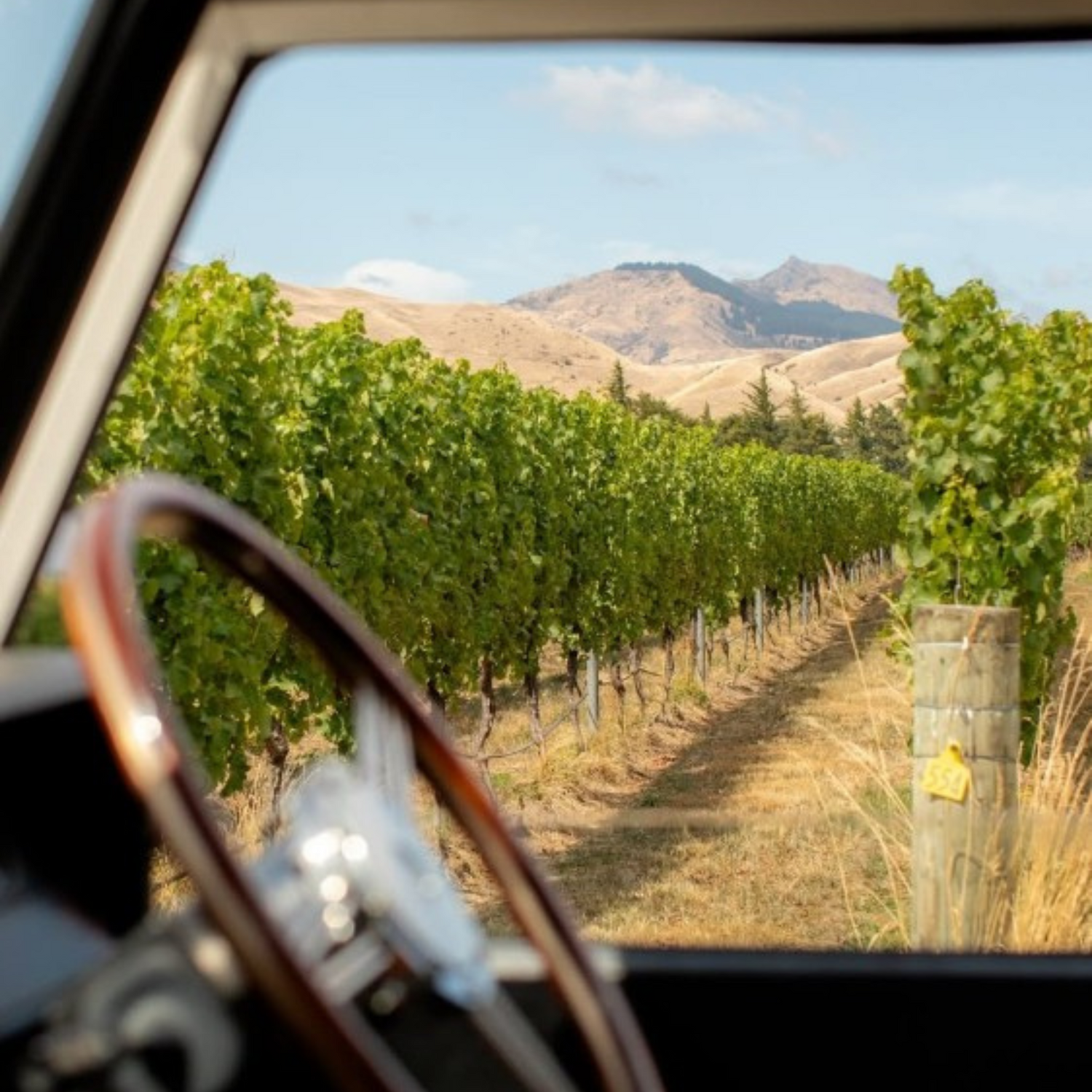 Normanby Fine Wines