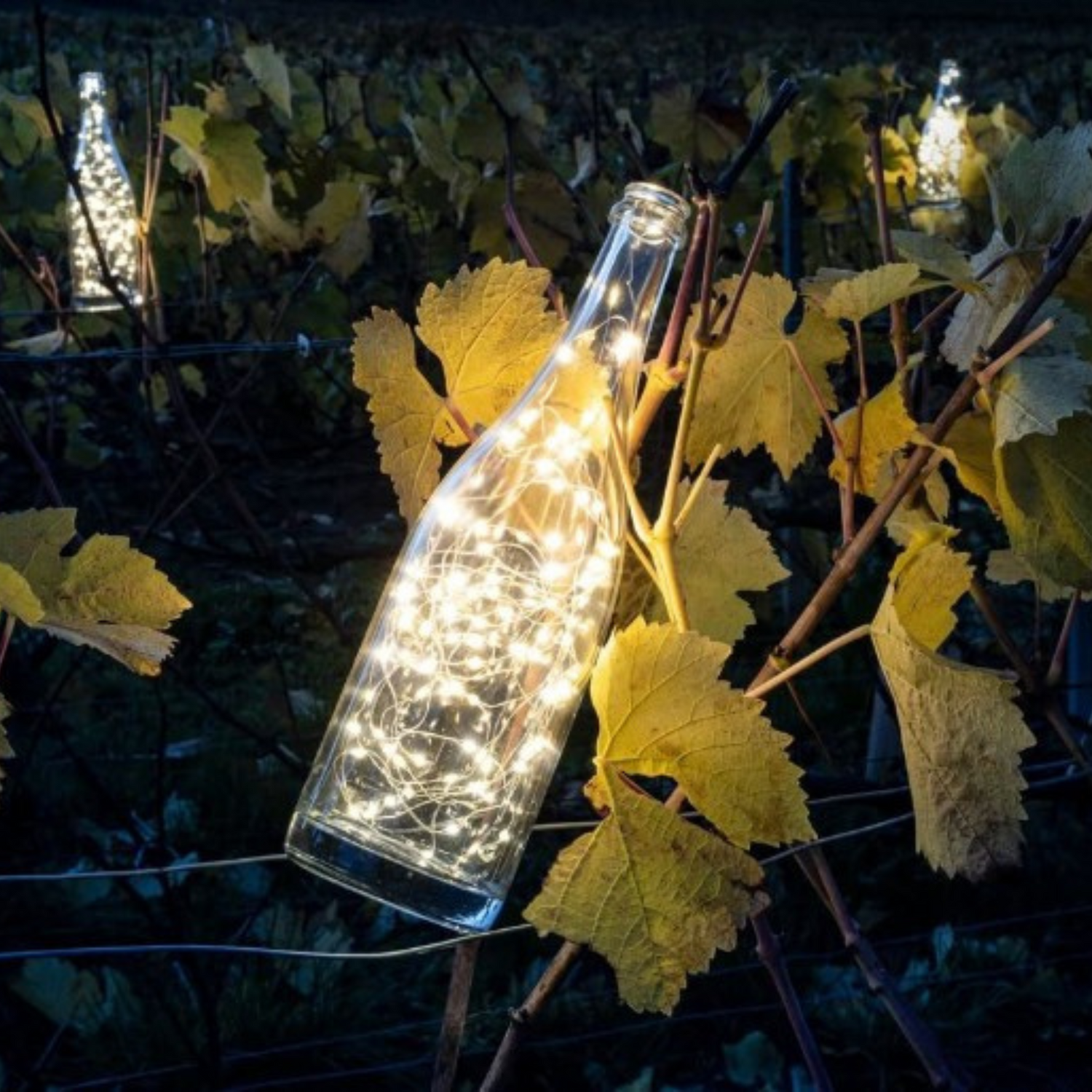 Normanby Fine Wines