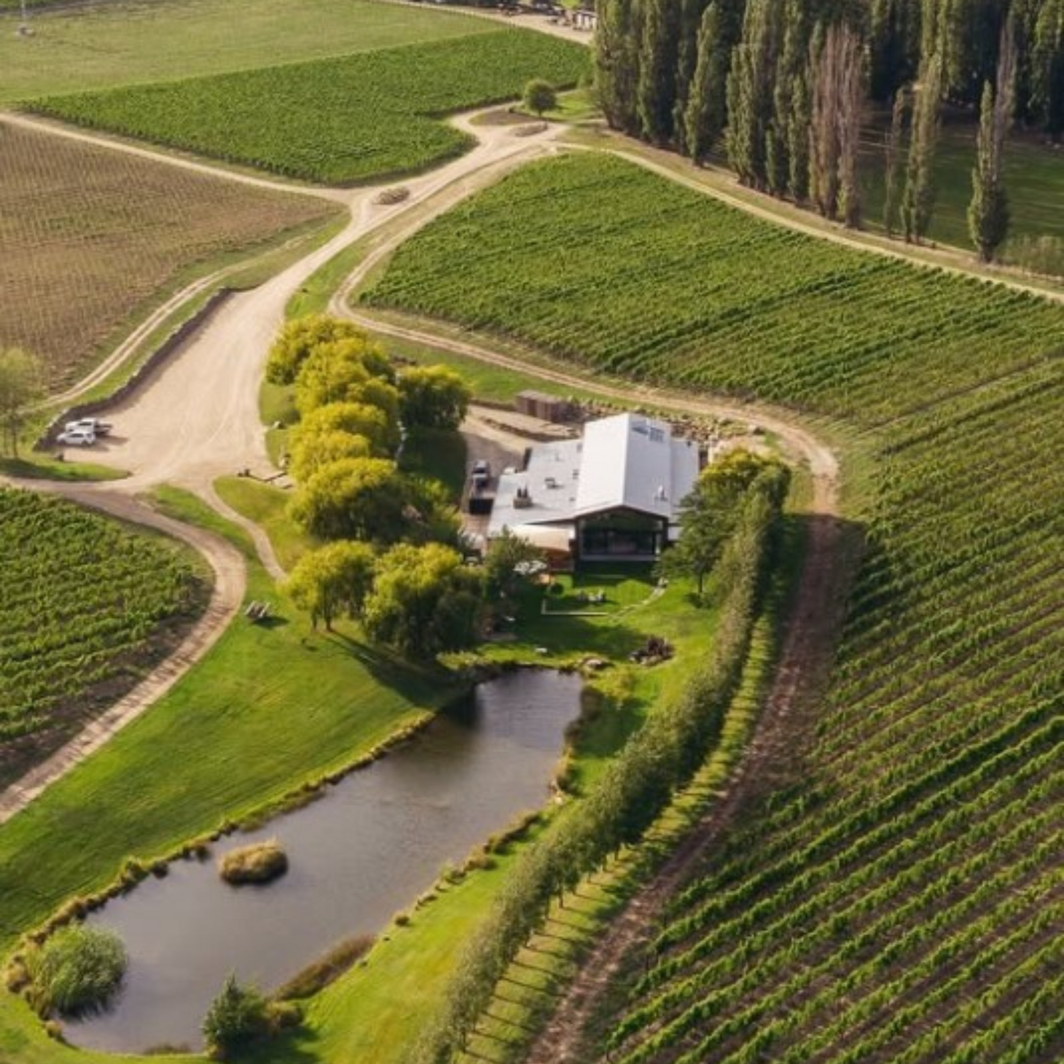 Normanby Fine Wines