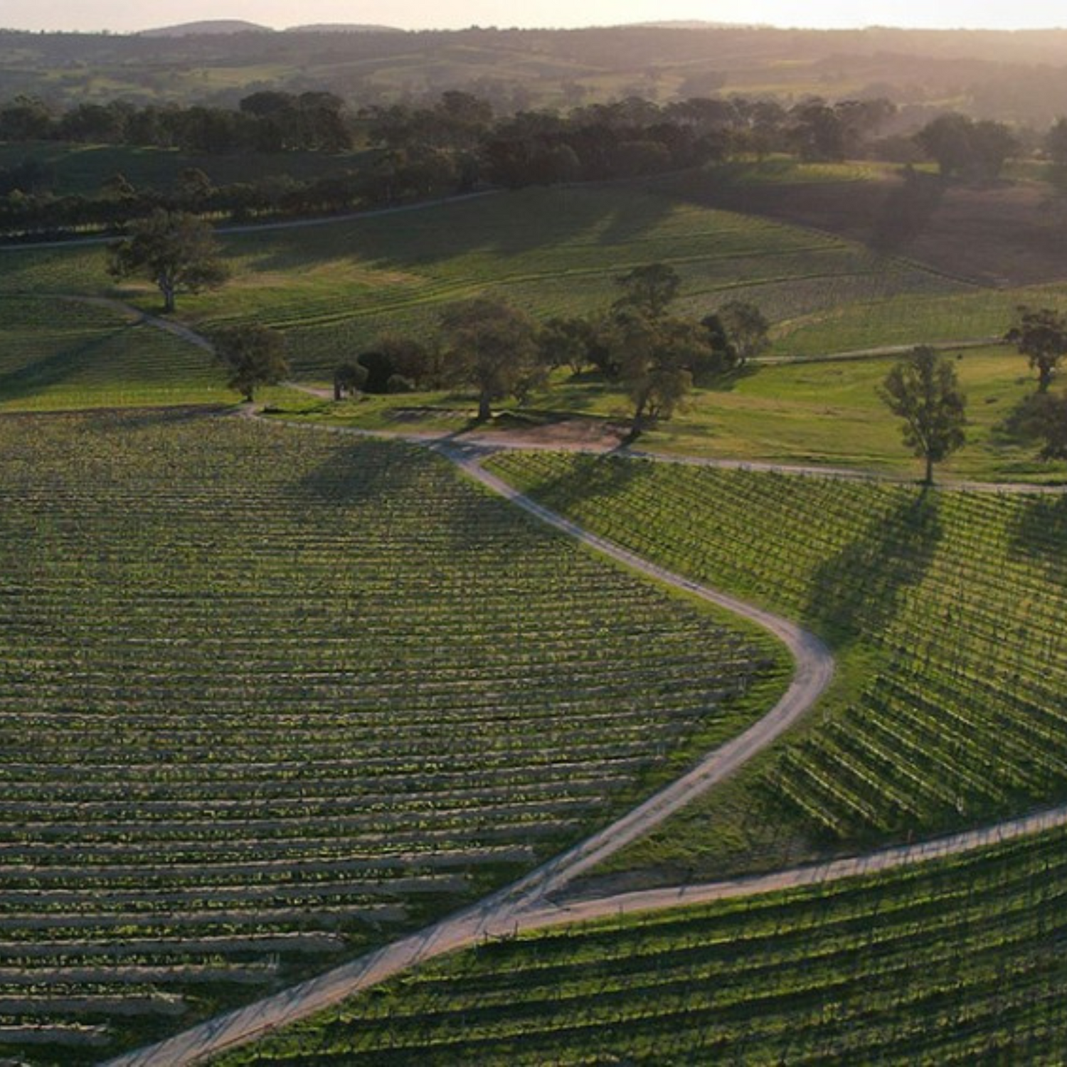 Normanby Fine Wines