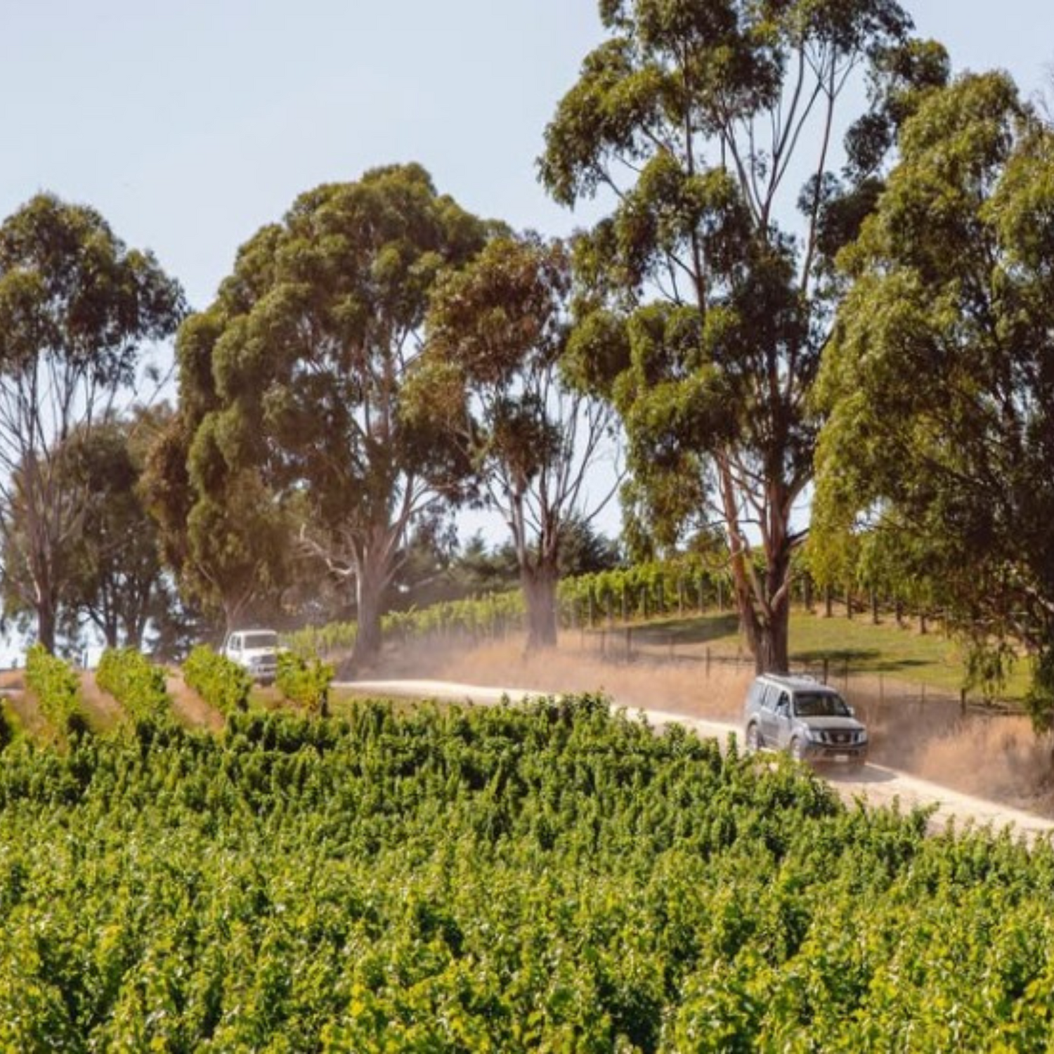Normanby Fine Wines