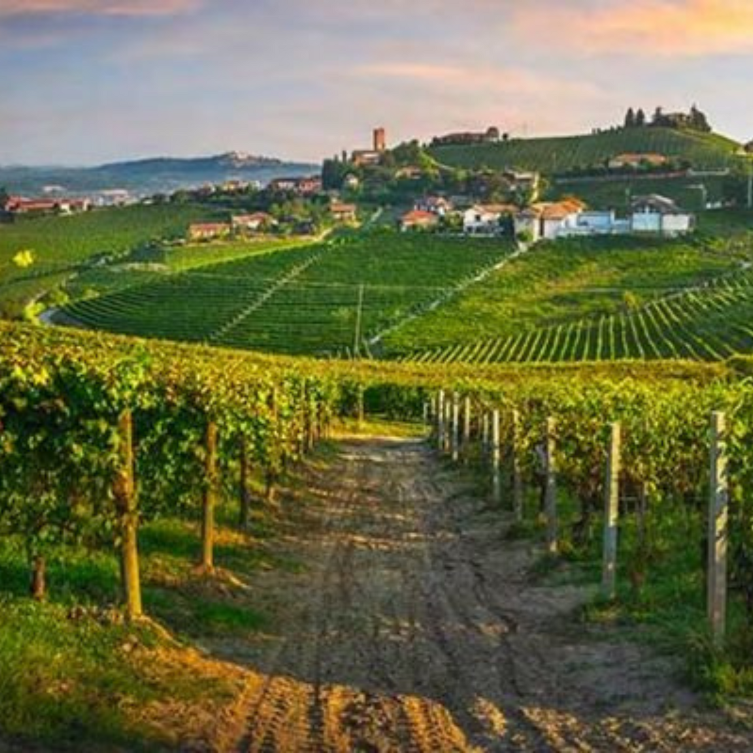 Normanby Fine Wines
