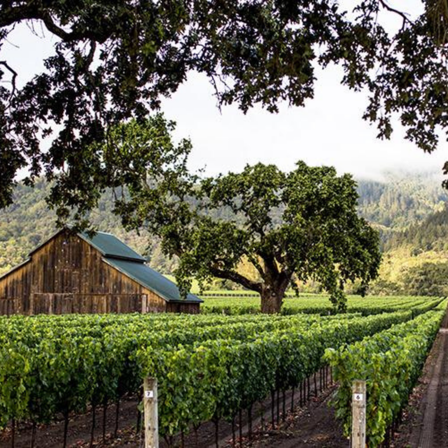 Normanby Fine Wines