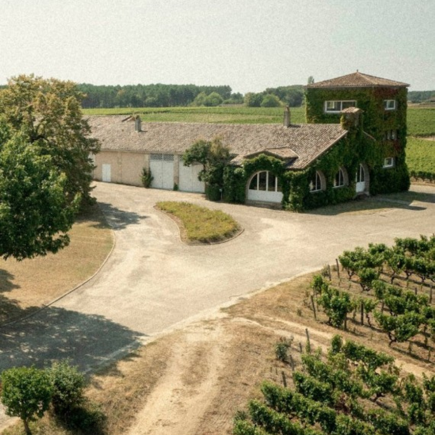 Normanby Fine Wines