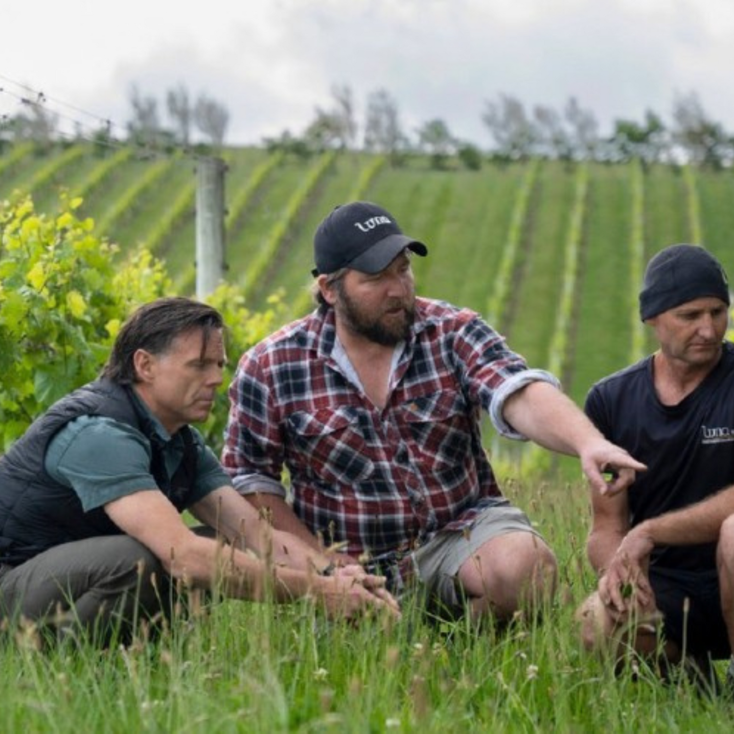 Normanby Fine Wines