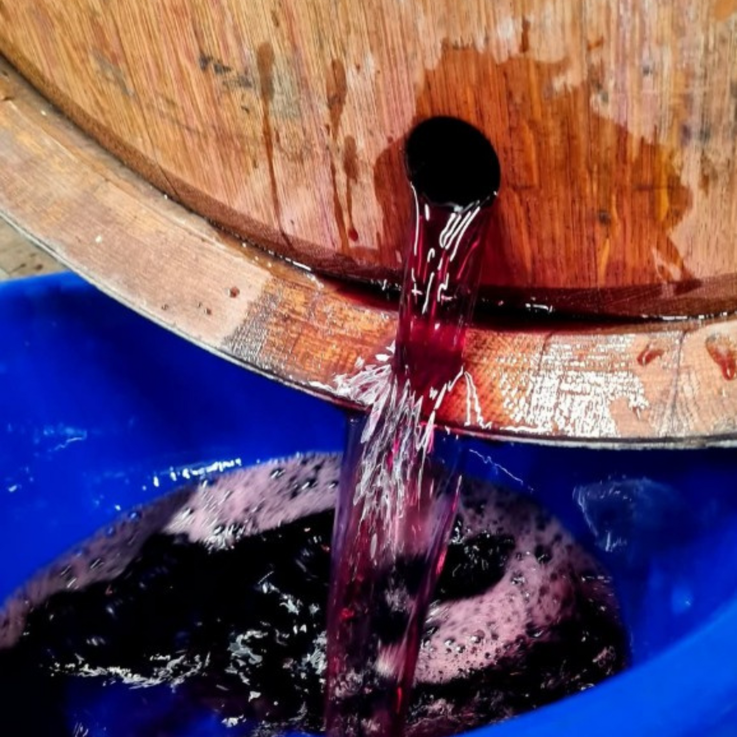 Normanby Fine Wines