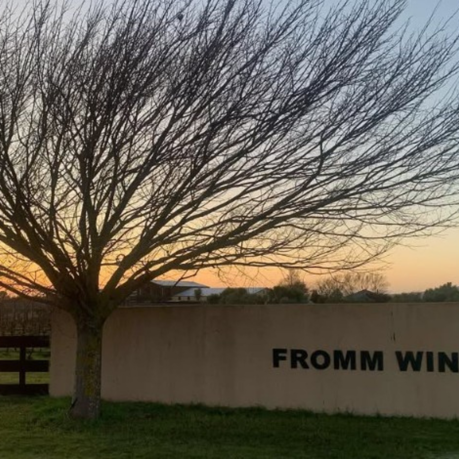 Normanby Fine Wines