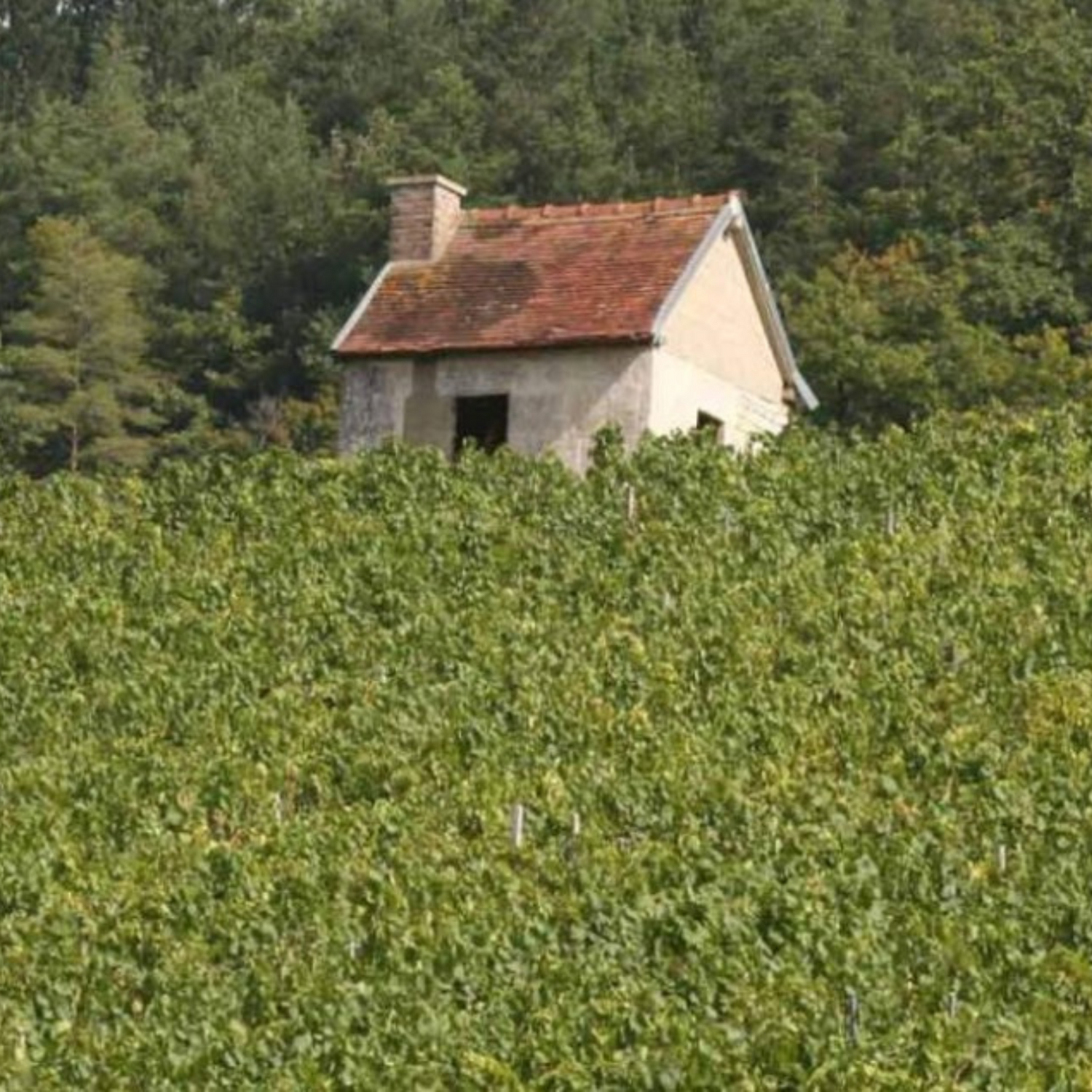 Normanby Fine Wines