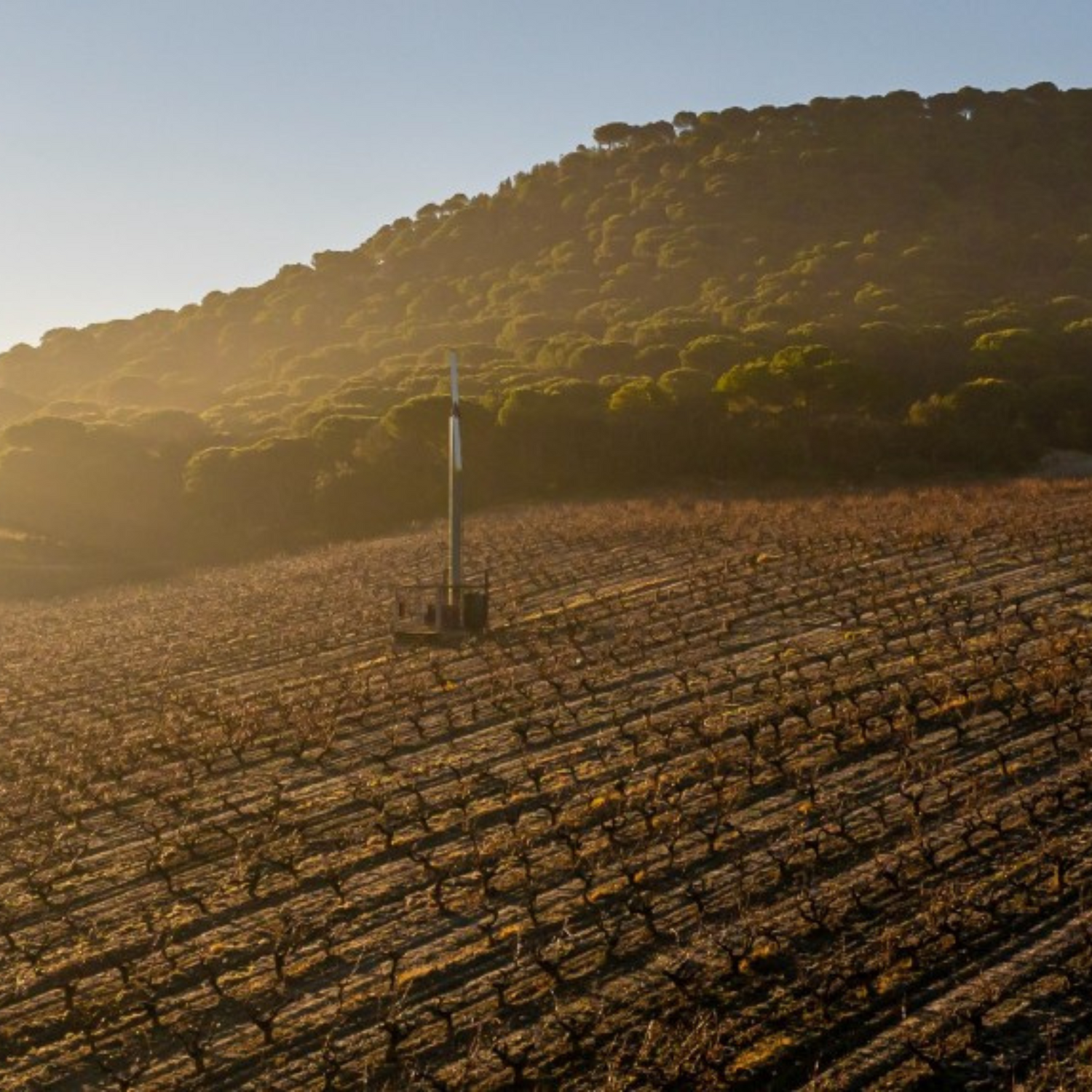 Normanby Fine Wines