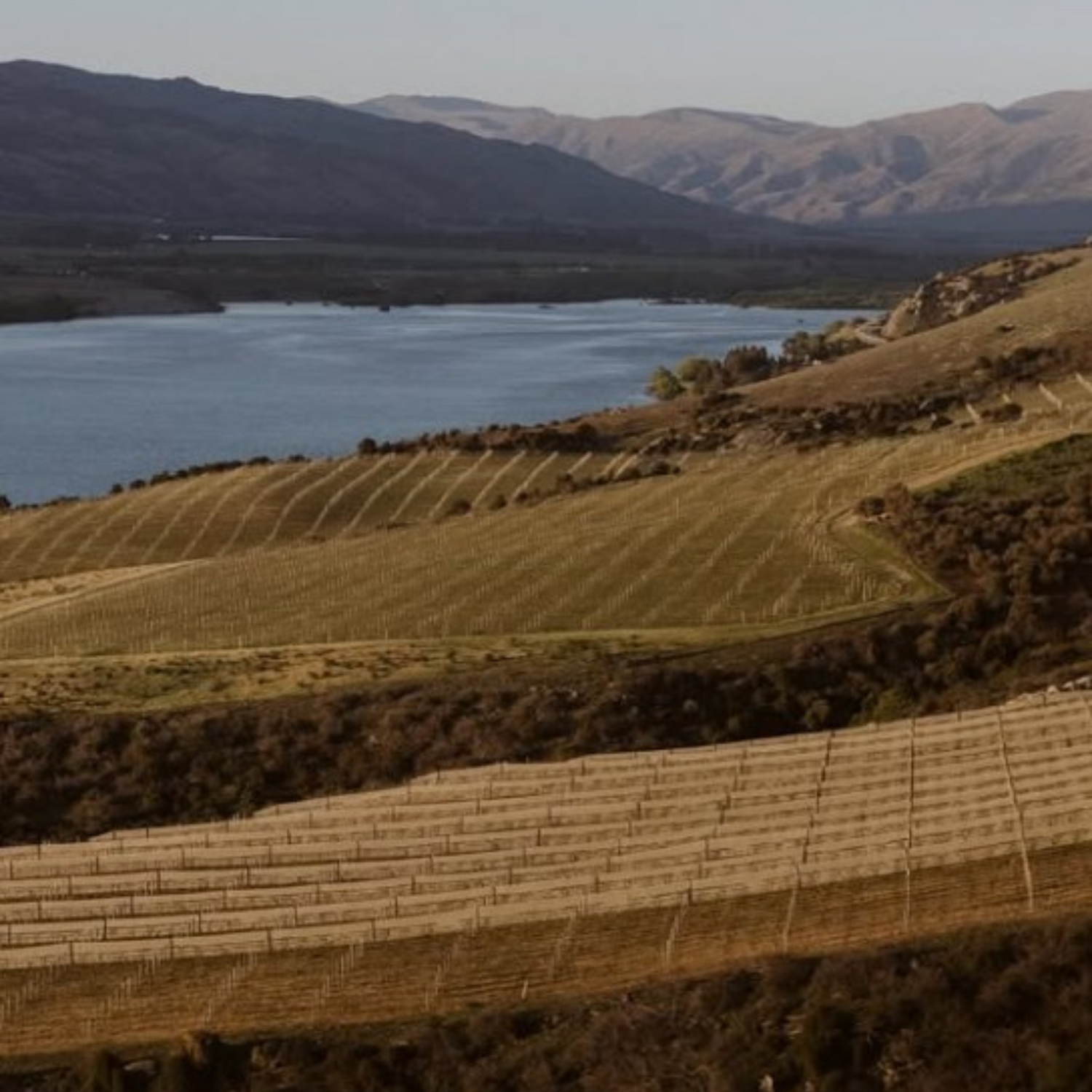 Normanby Fine Wines