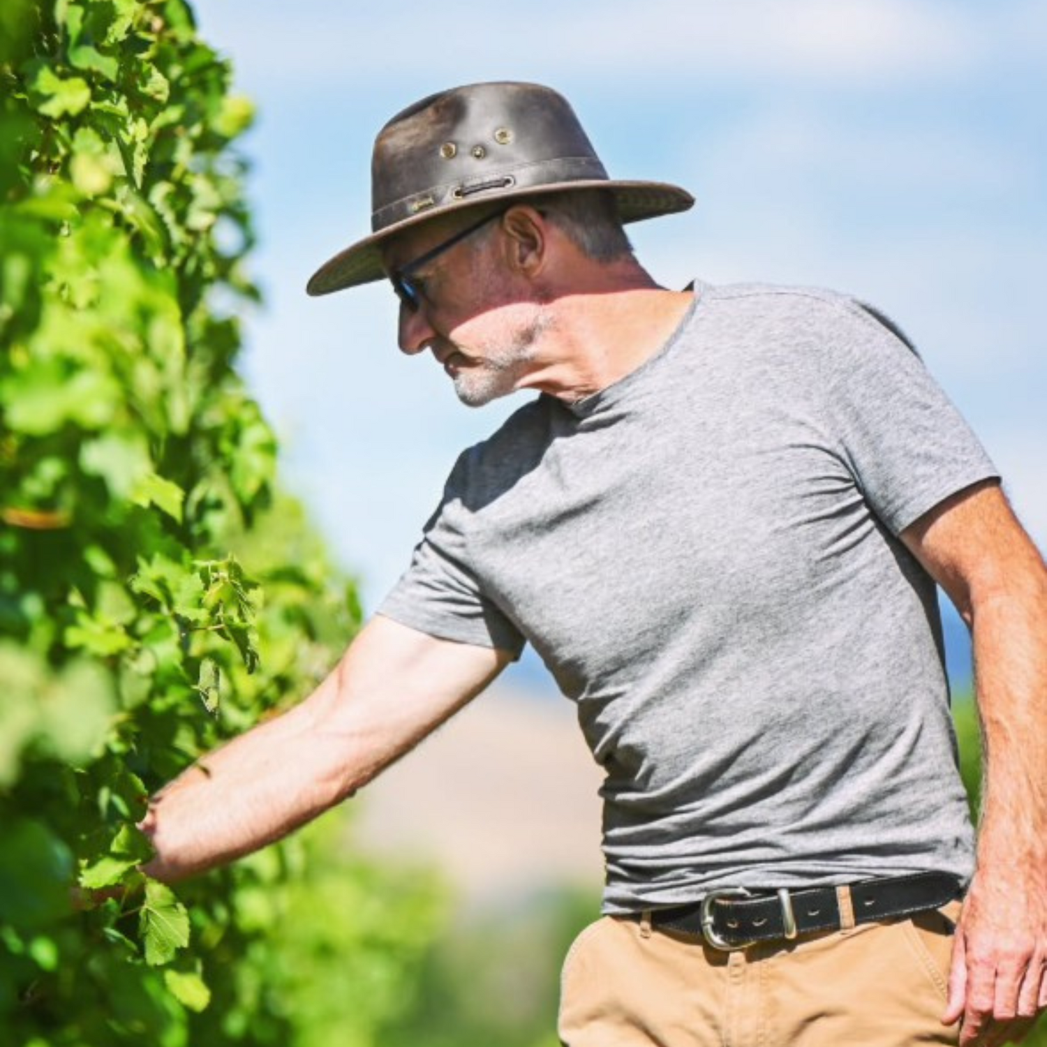 Normanby Fine Wines