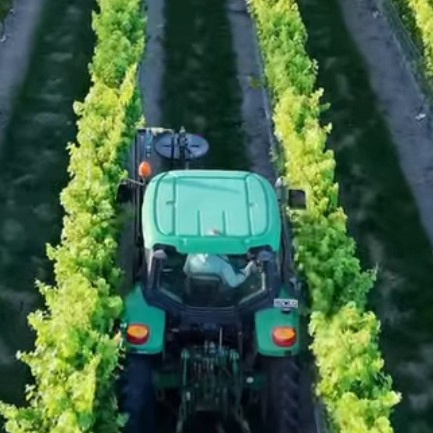 Normanby Fine Wines