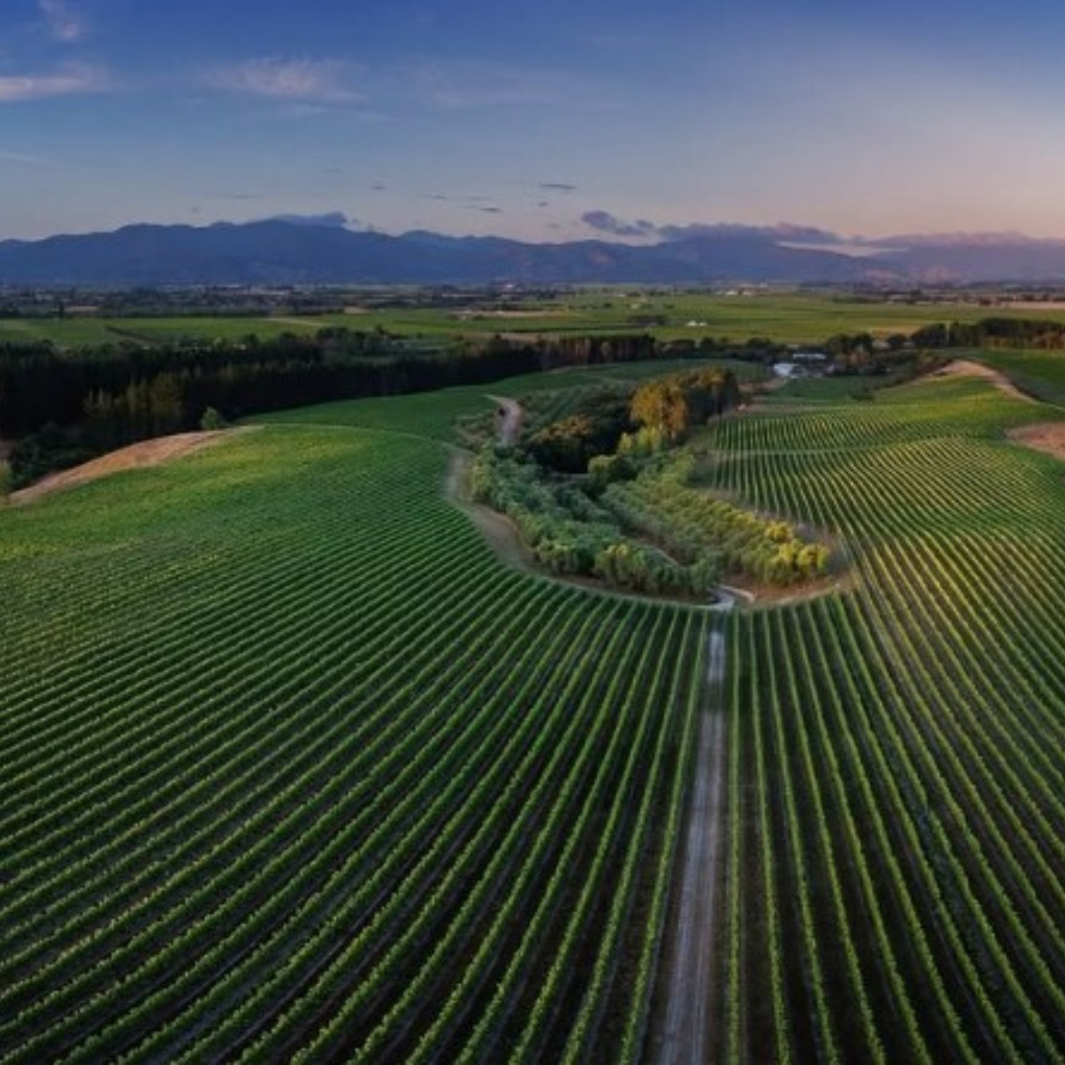 Normanby Fine Wines