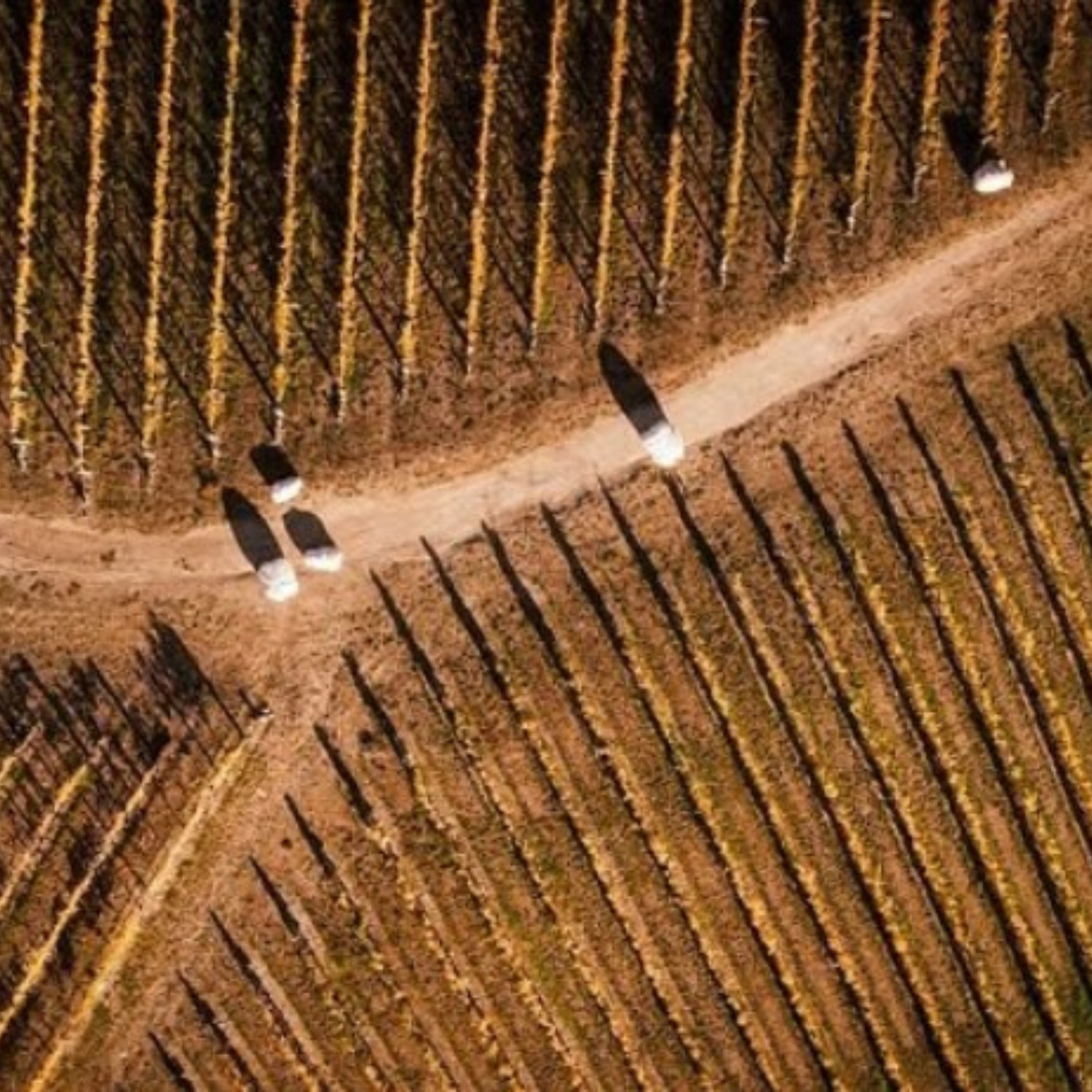 Normanby Fine Wines