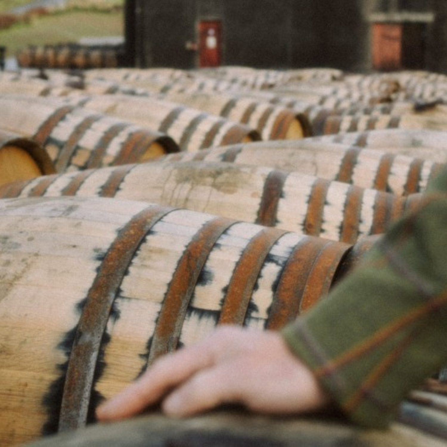 Normanby Fine Wines