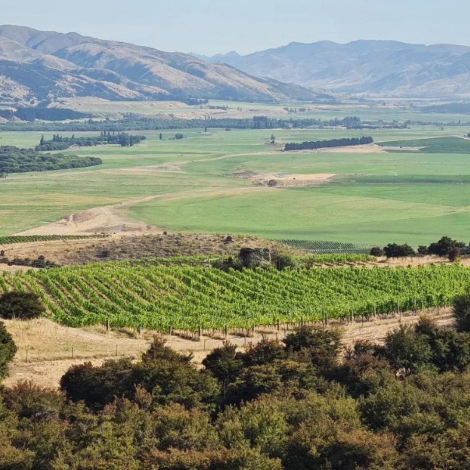 Normanby Fine Wines