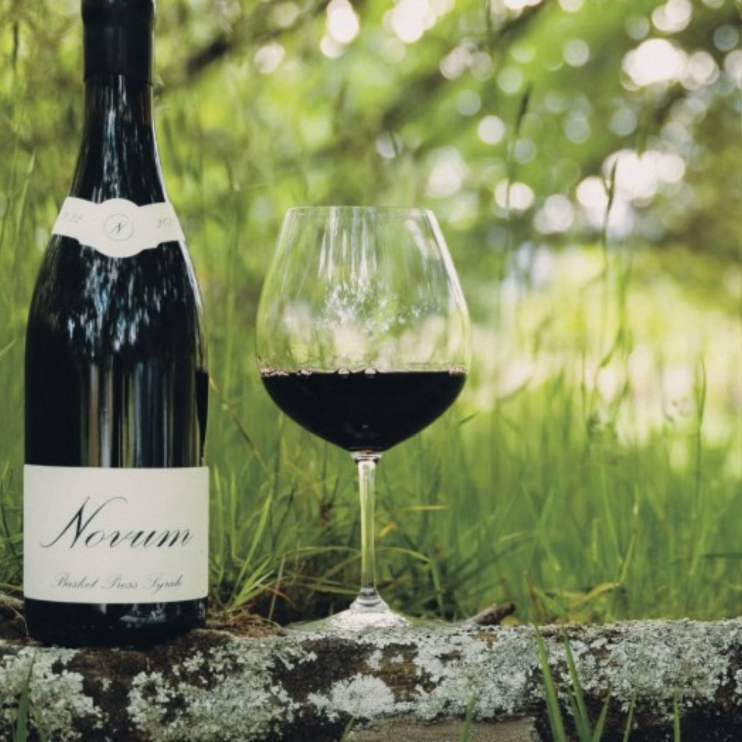 Normanby Fine Wines