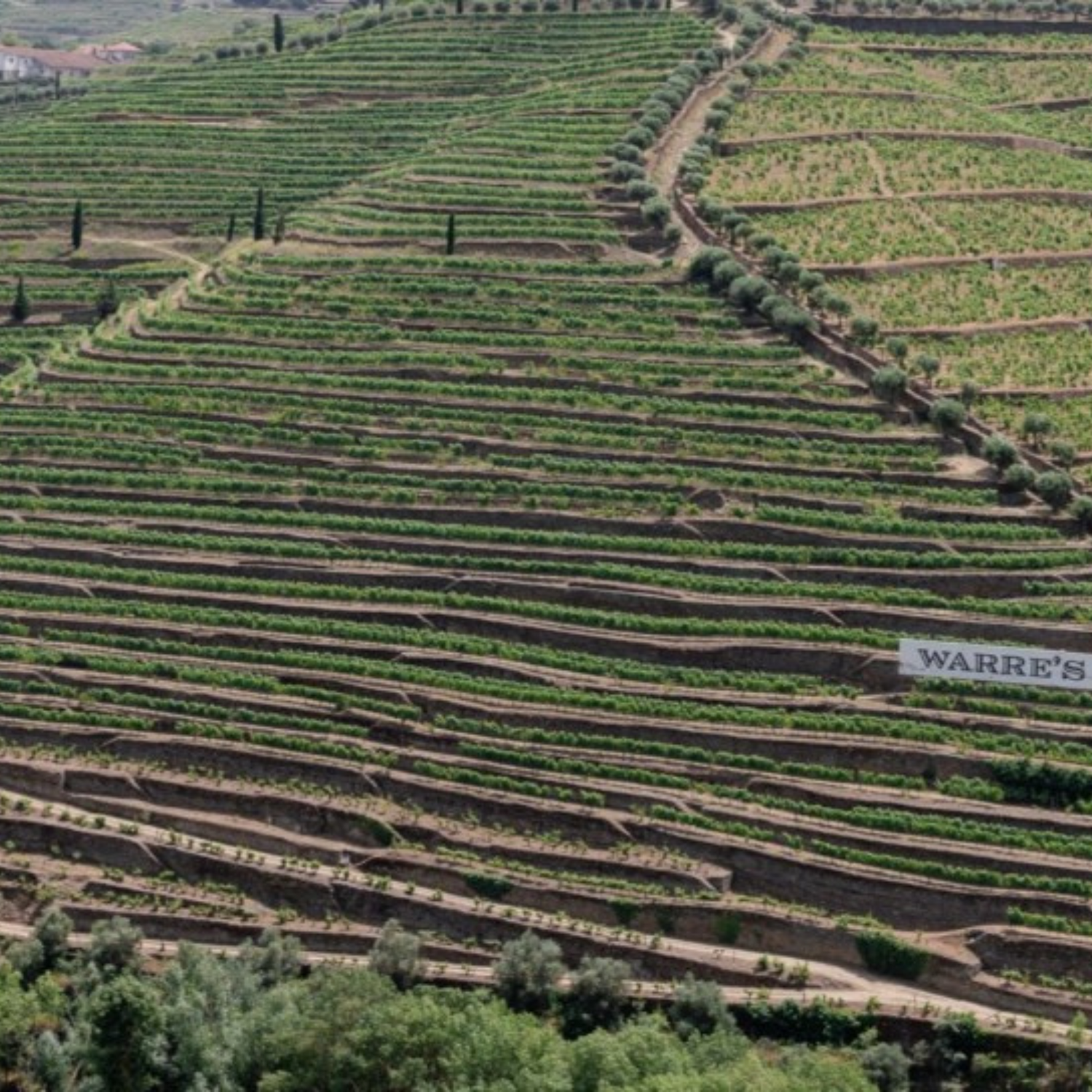 Normanby Fine Wines