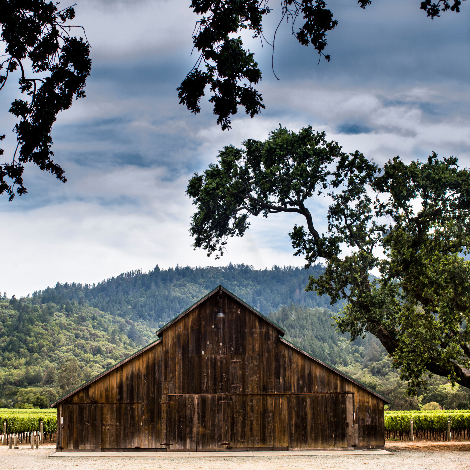 Normanby Fine Wines