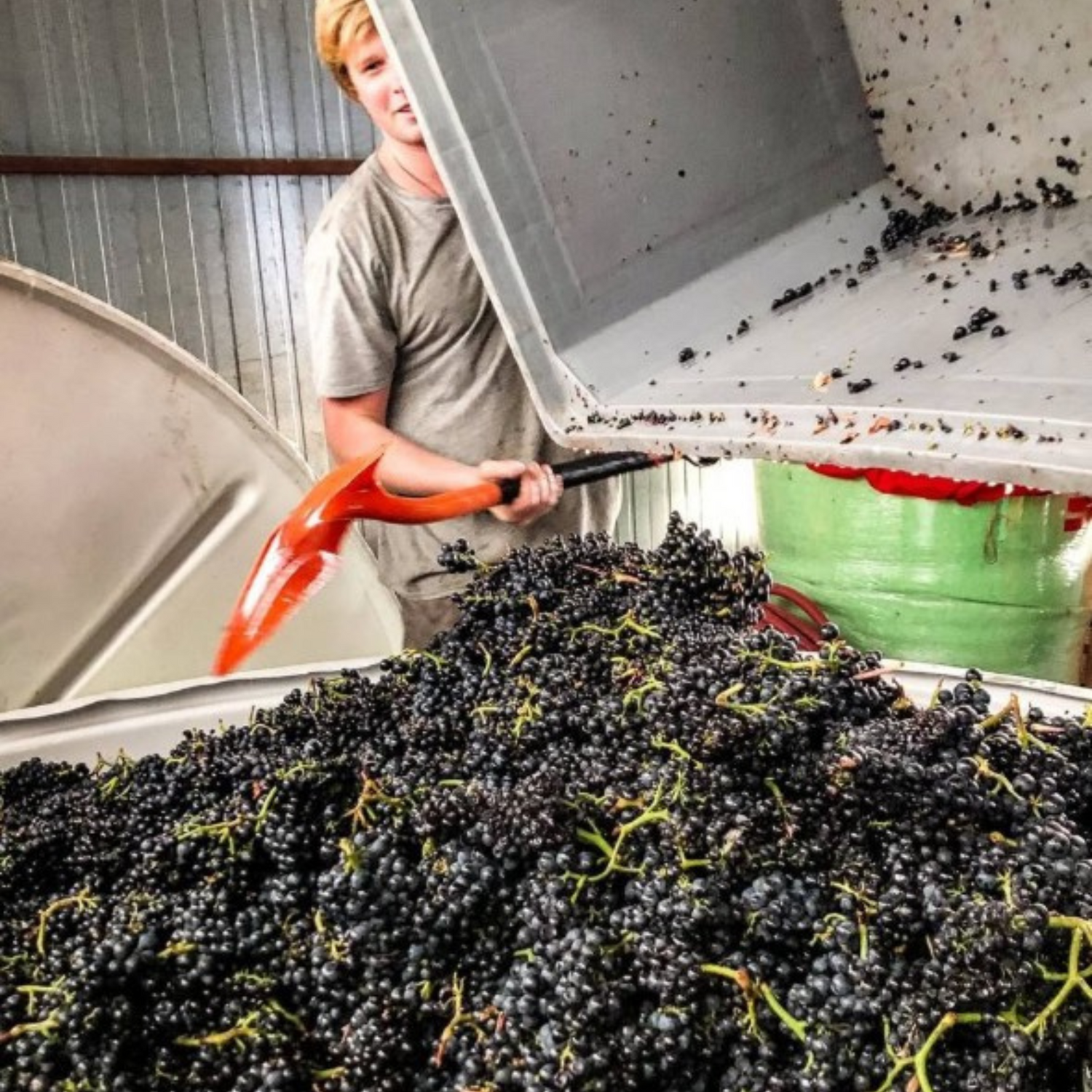 Normanby Fine Wines