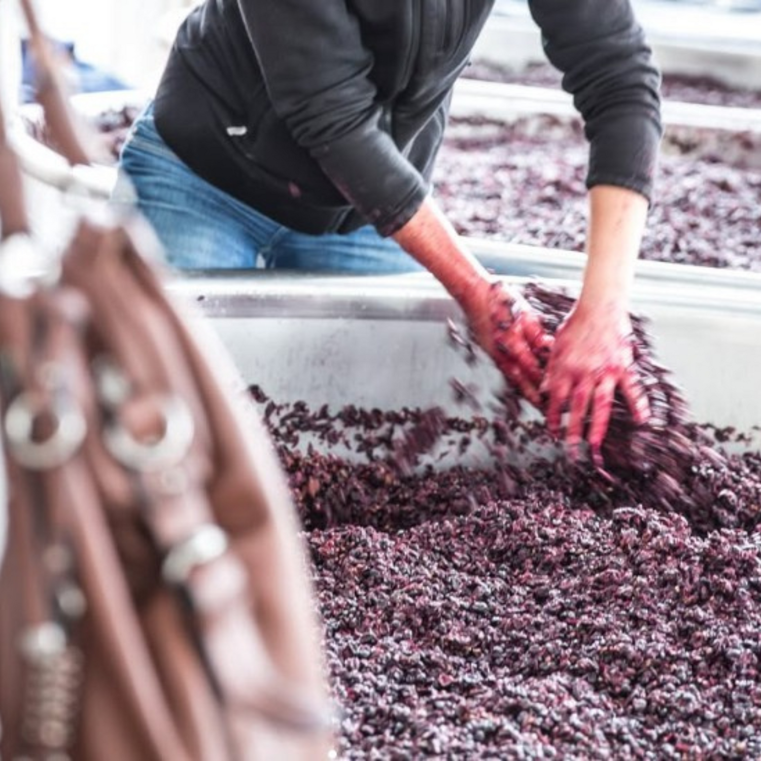 Normanby Fine Wines