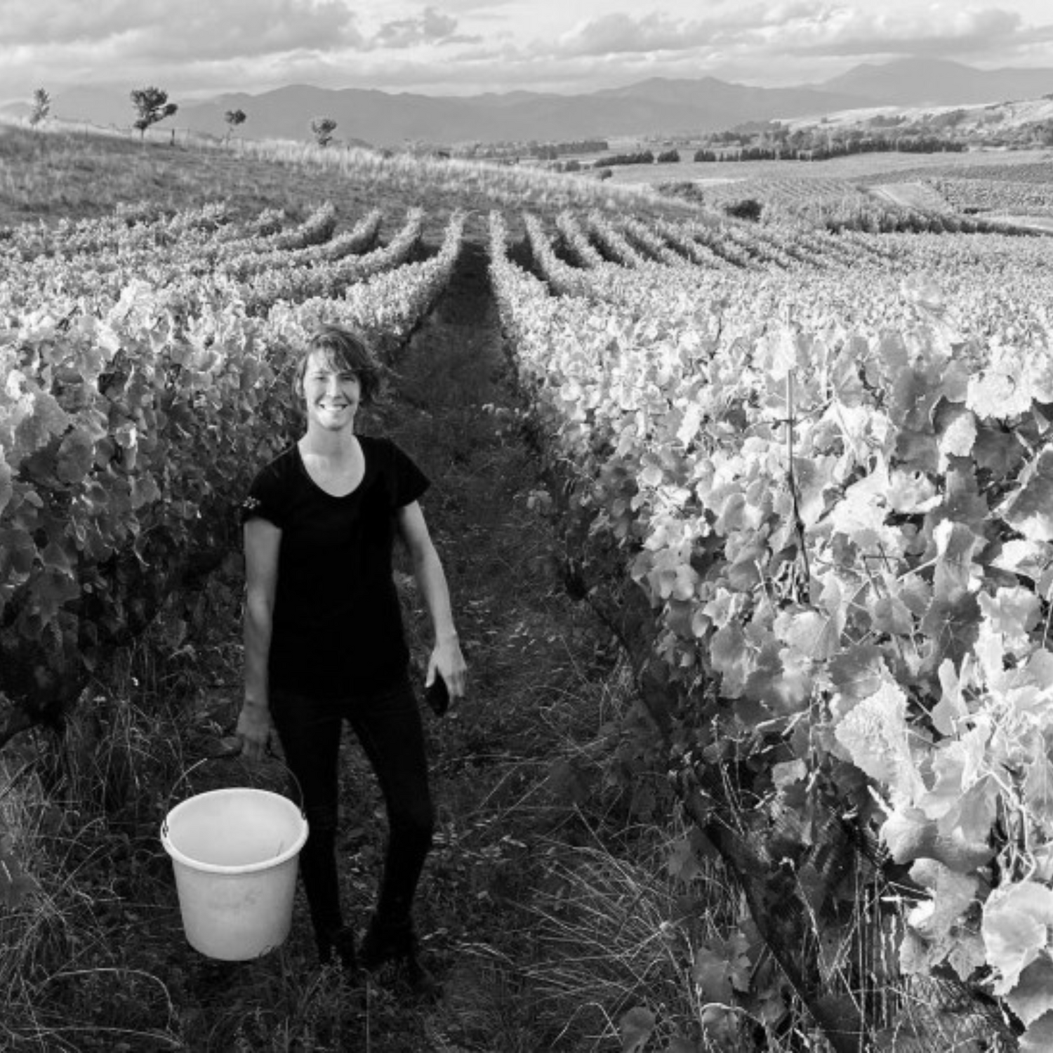 Normanby Fine Wines