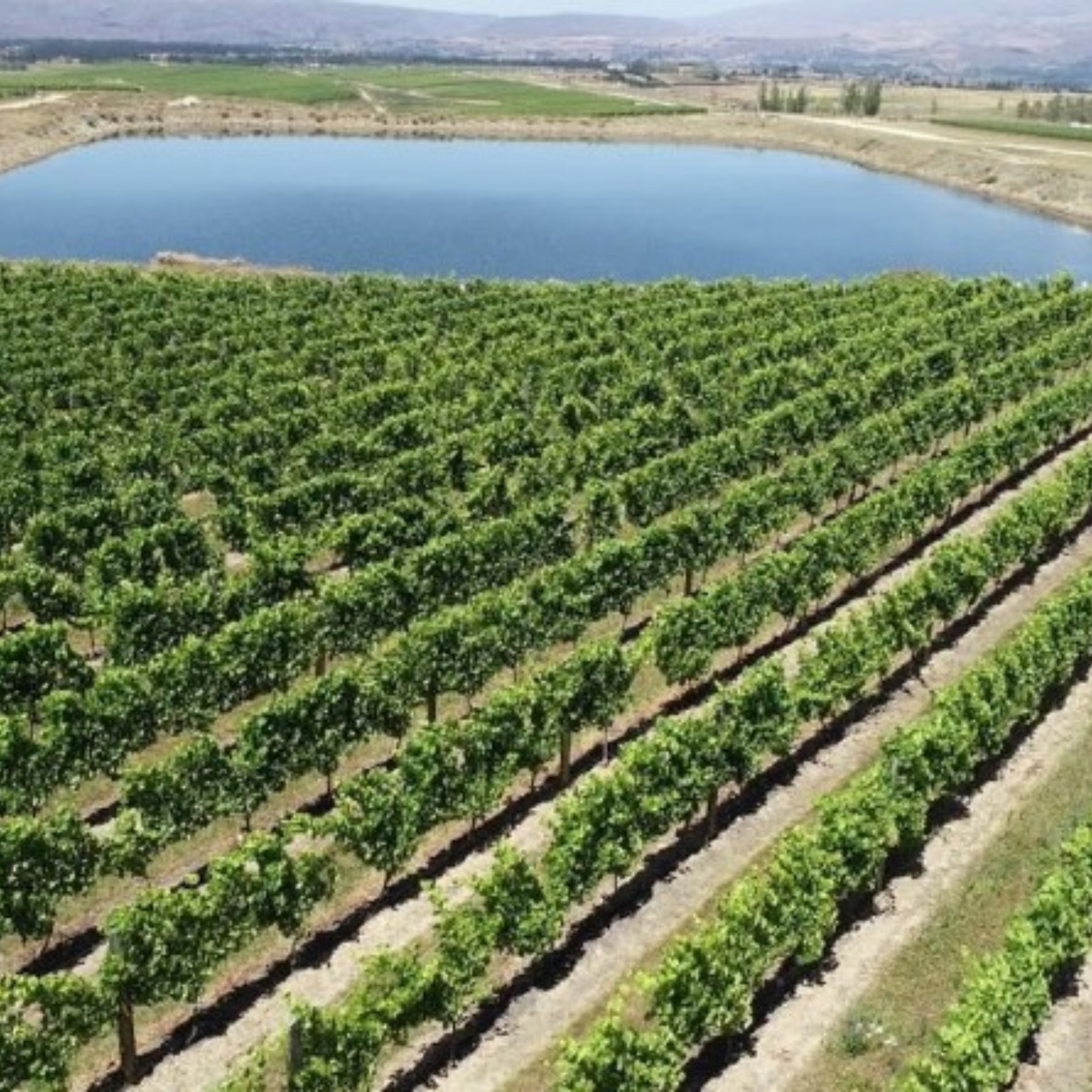 Normanby Fine Wines