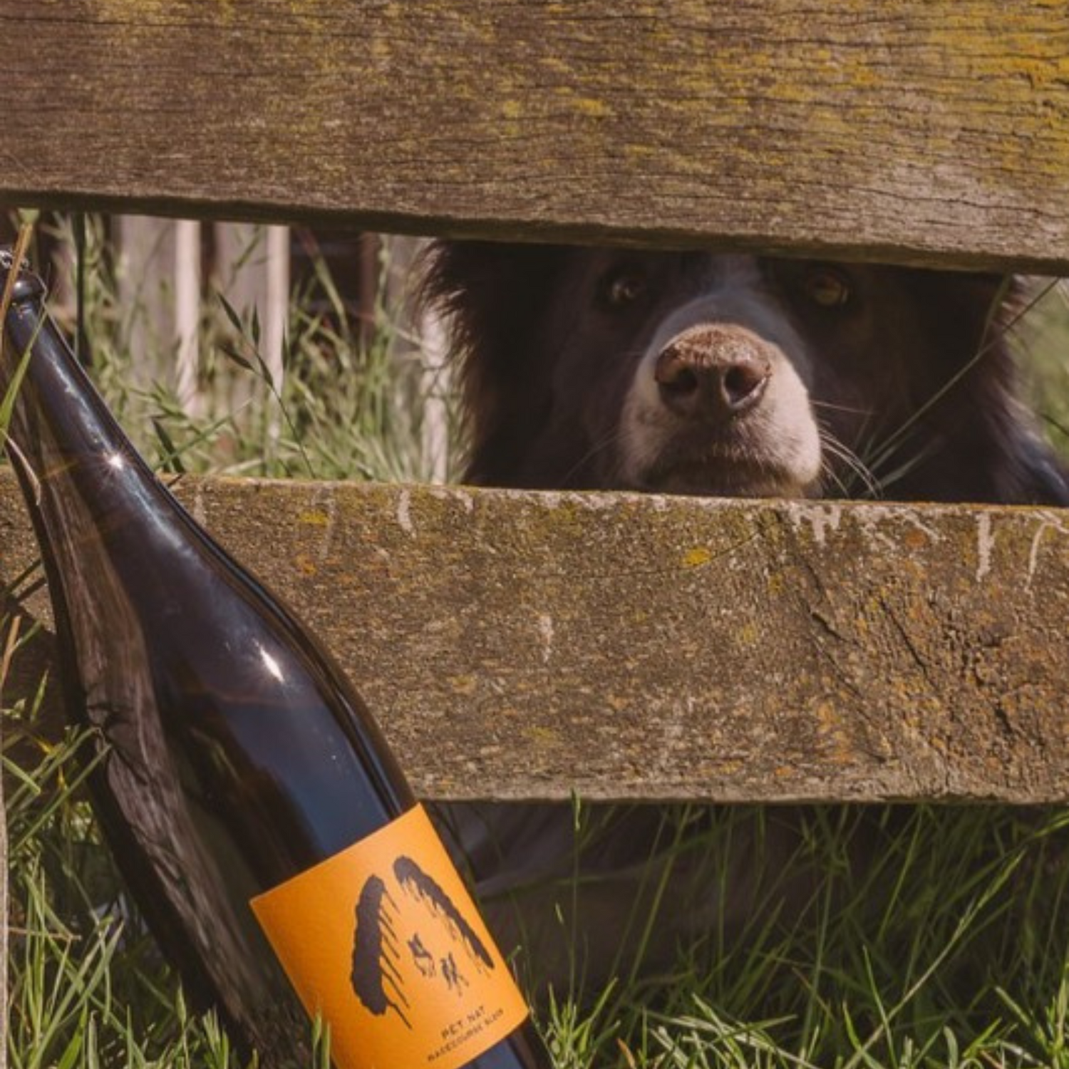 Normanby Fine Wines