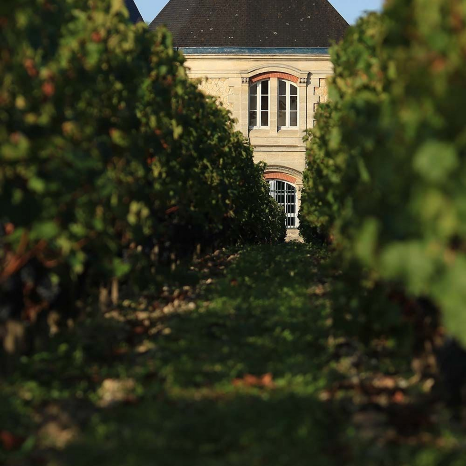 Normanby Fine Wines
