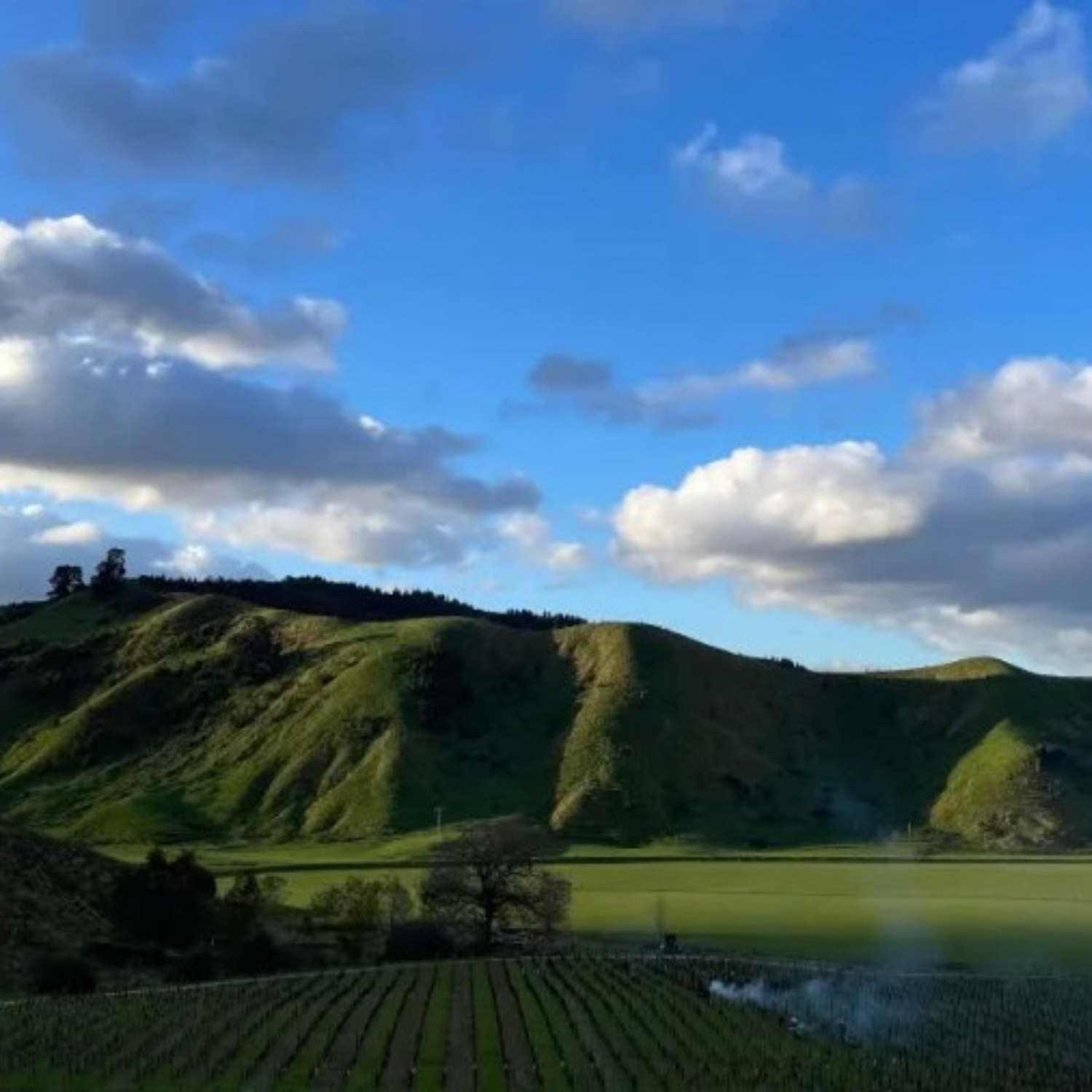 Normanby Fine Wines