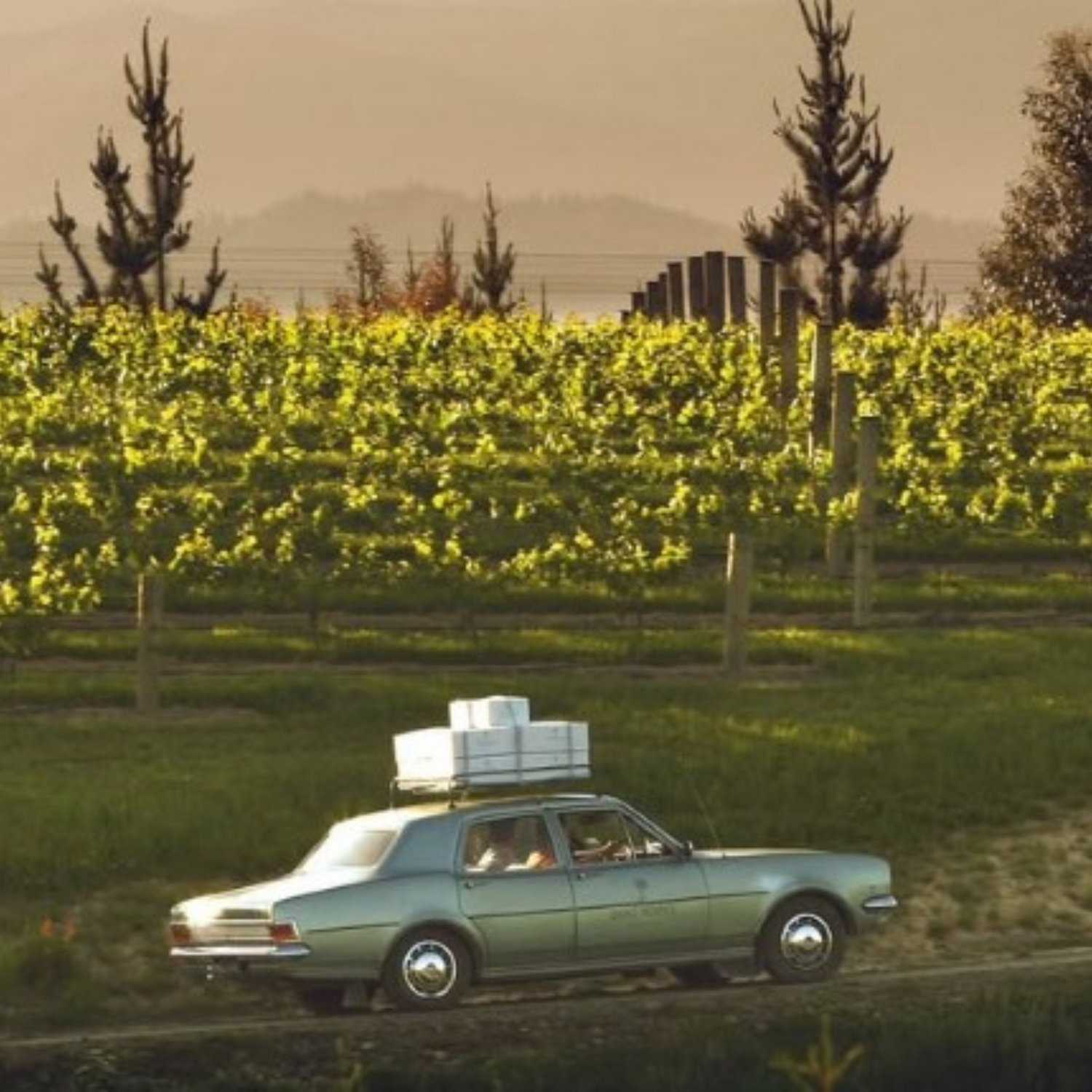 Normanby Fine Wines