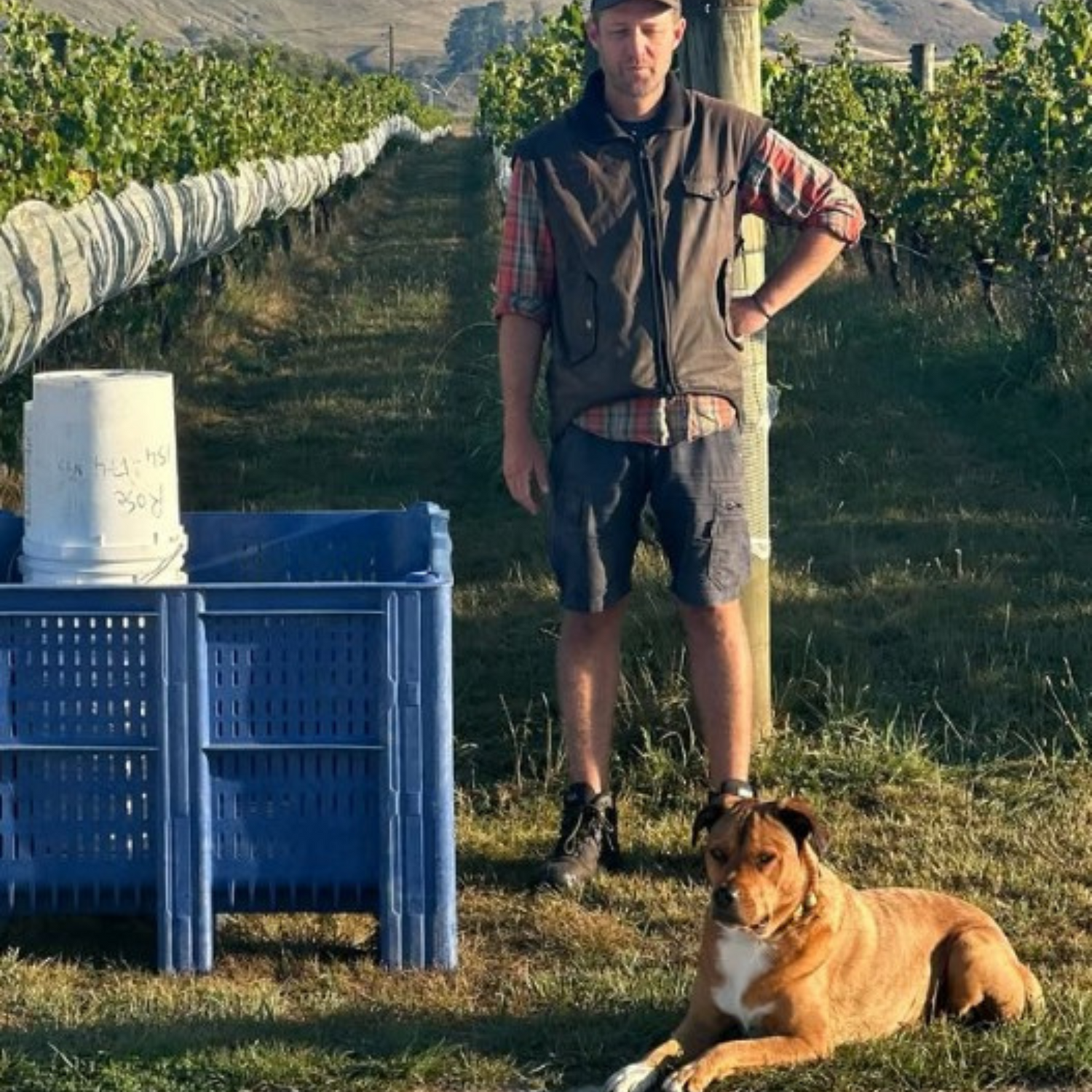 Normanby Fine Wines