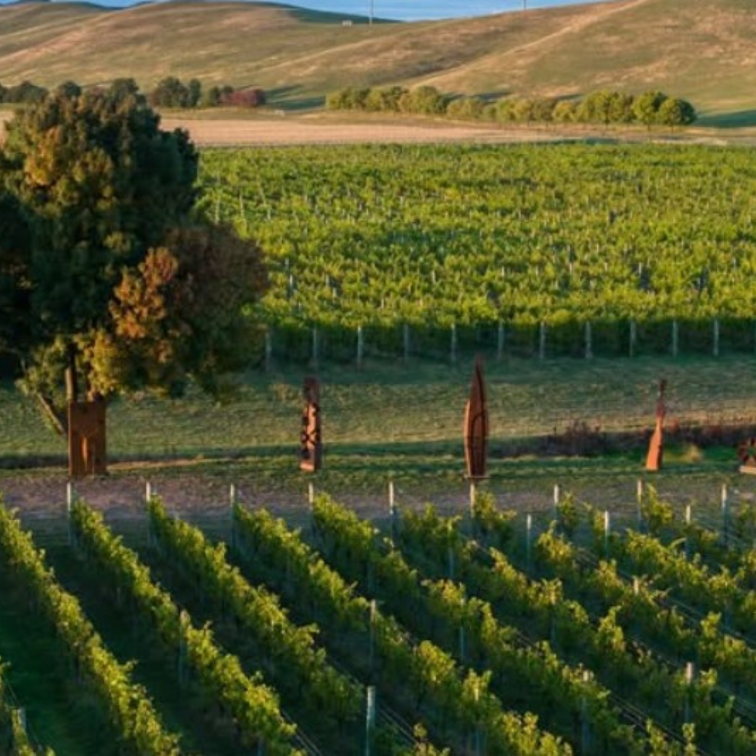 Normanby Fine Wines