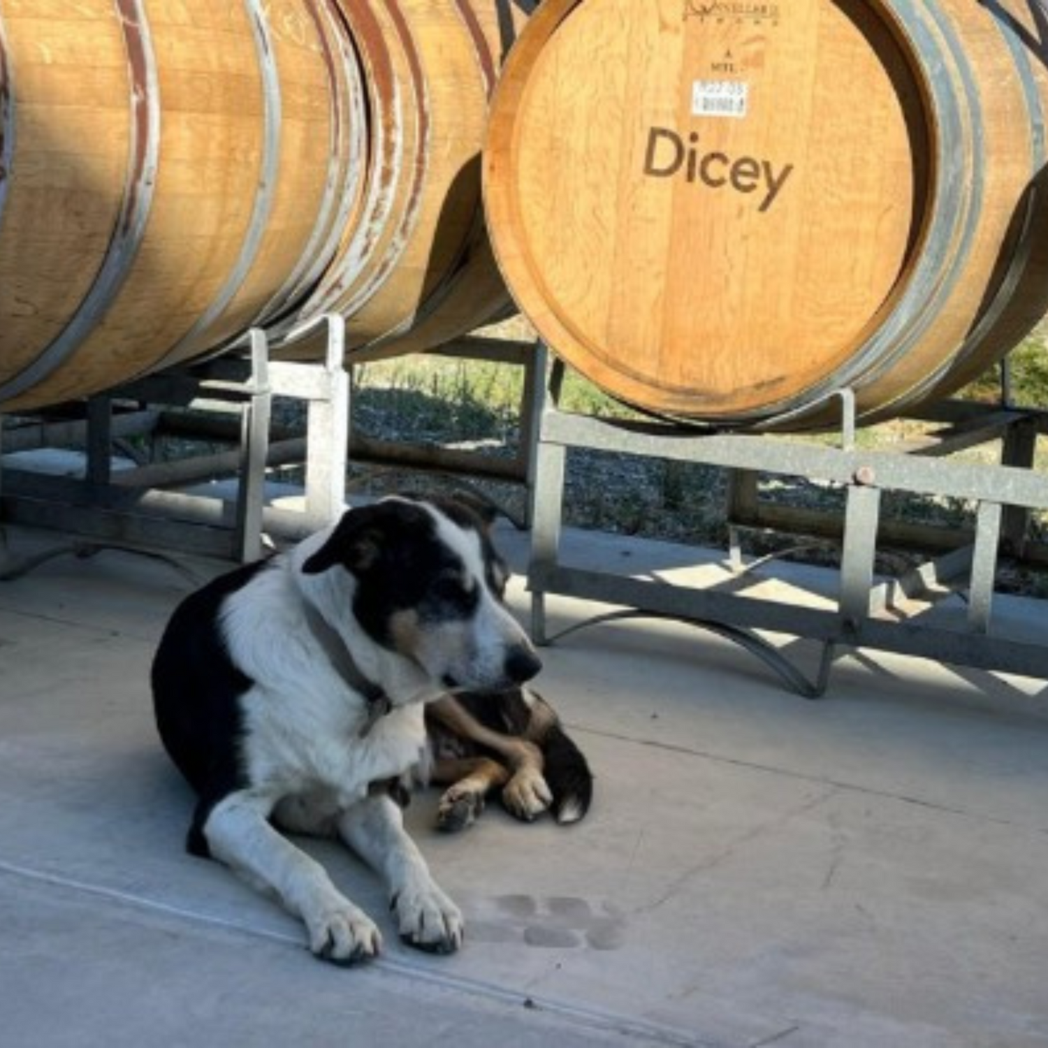 Normanby Fine Wines