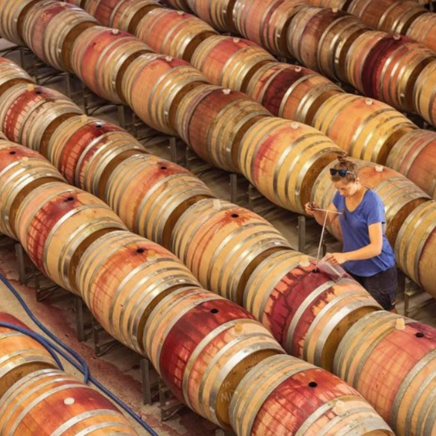 Normanby Fine Wines